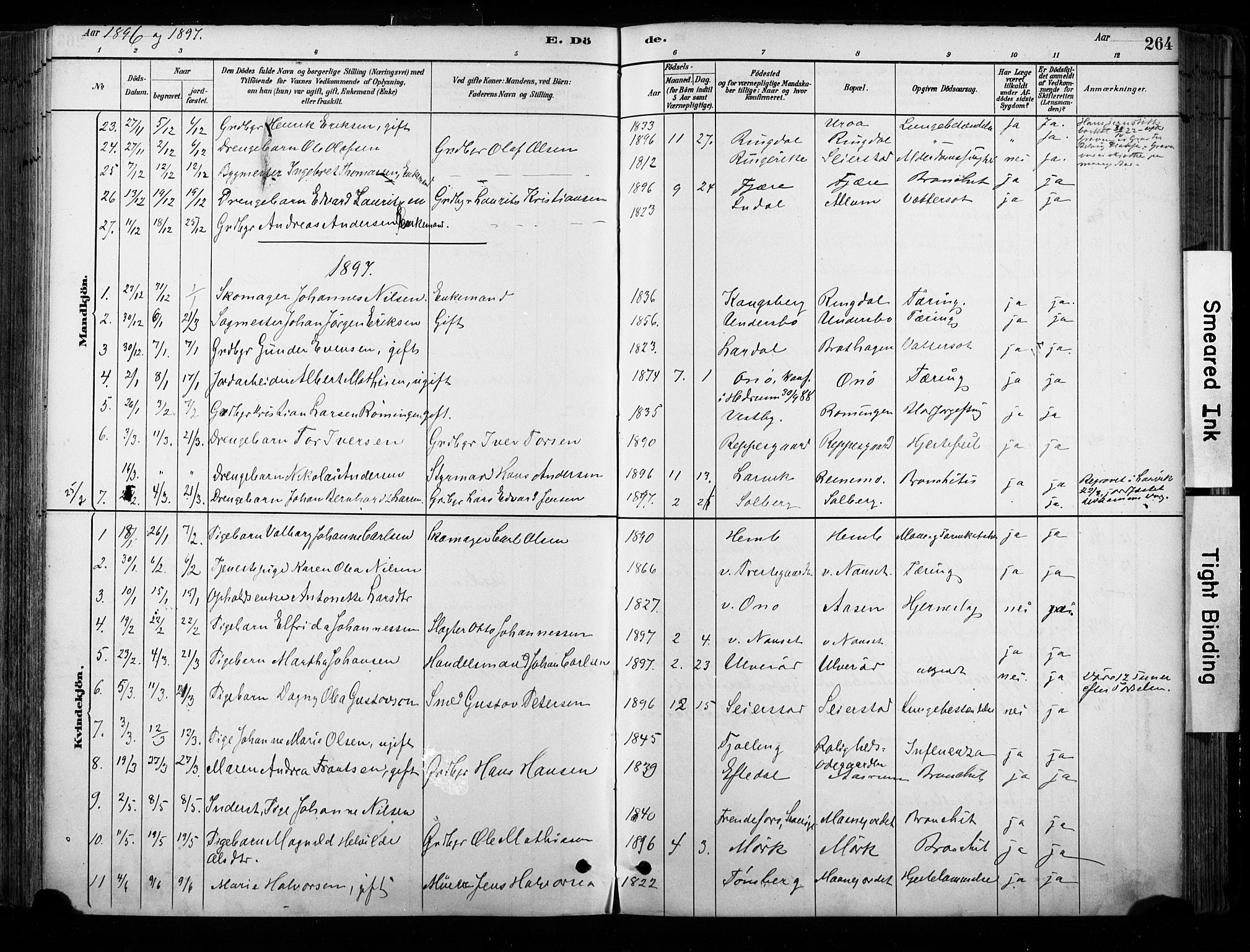 Hedrum kirkebøker, SAKO/A-344/F/Fa/L0009: Parish register (official) no. I 9, 1881-1903, p. 264