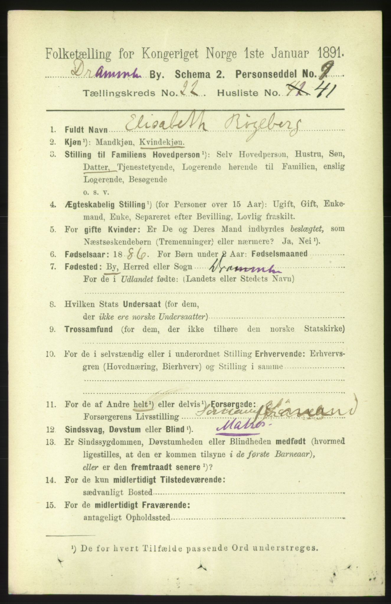 RA, 1891 census for 0602 Drammen, 1891, p. 14048