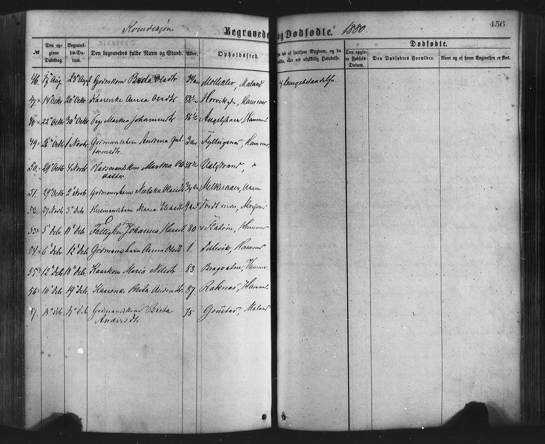 Hamre sokneprestembete, AV/SAB-A-75501/H/Ha/Haa/Haaa/L0015: Parish register (official) no. A 15, 1870-1881, p. 456