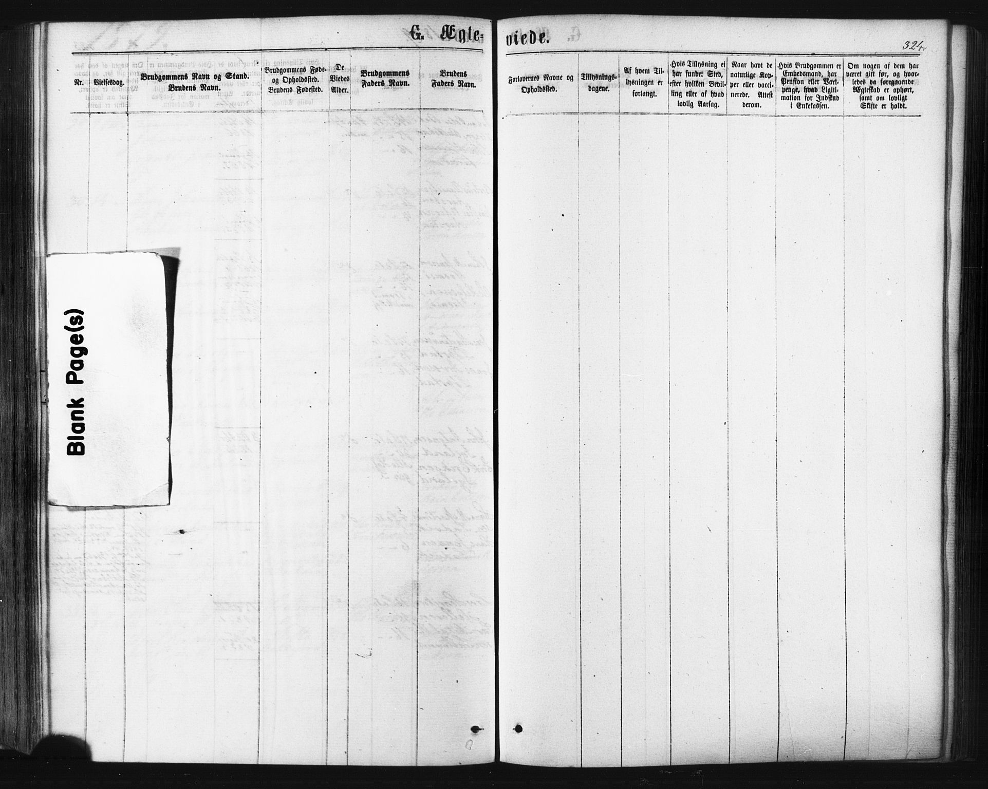 Ibestad sokneprestembete, SATØ/S-0077/H/Ha/Haa/L0010kirke: Parish register (official) no. 10, 1869-1879, p. 324