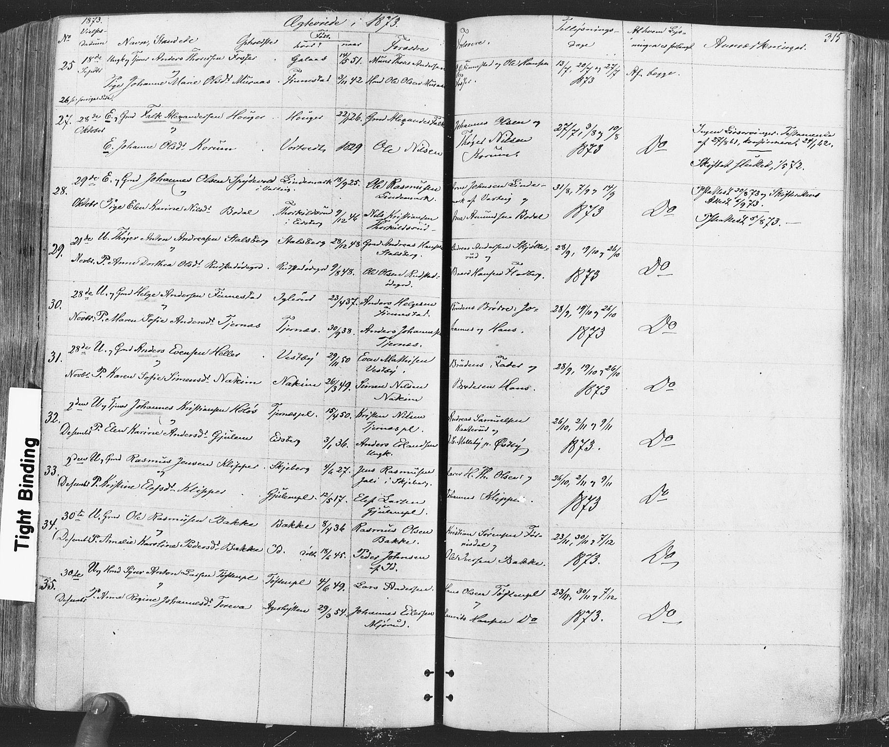 Rakkestad prestekontor Kirkebøker, AV/SAO-A-2008/F/Fa/L0011: Parish register (official) no. I 11, 1862-1877, p. 315