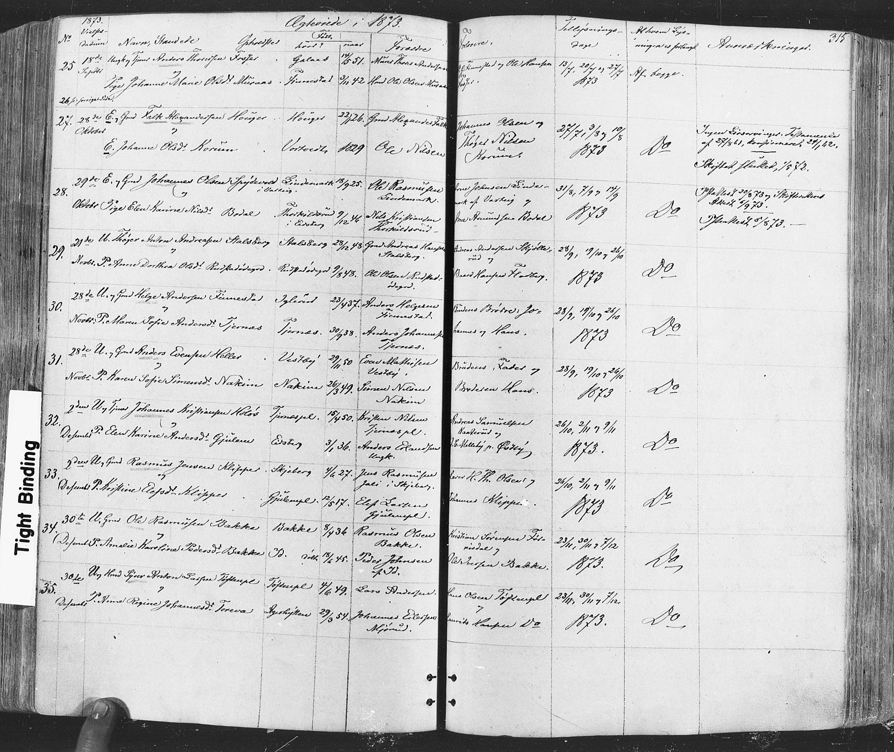 Rakkestad prestekontor Kirkebøker, SAO/A-2008/F/Fa/L0011: Parish register (official) no. I 11, 1862-1877, p. 315