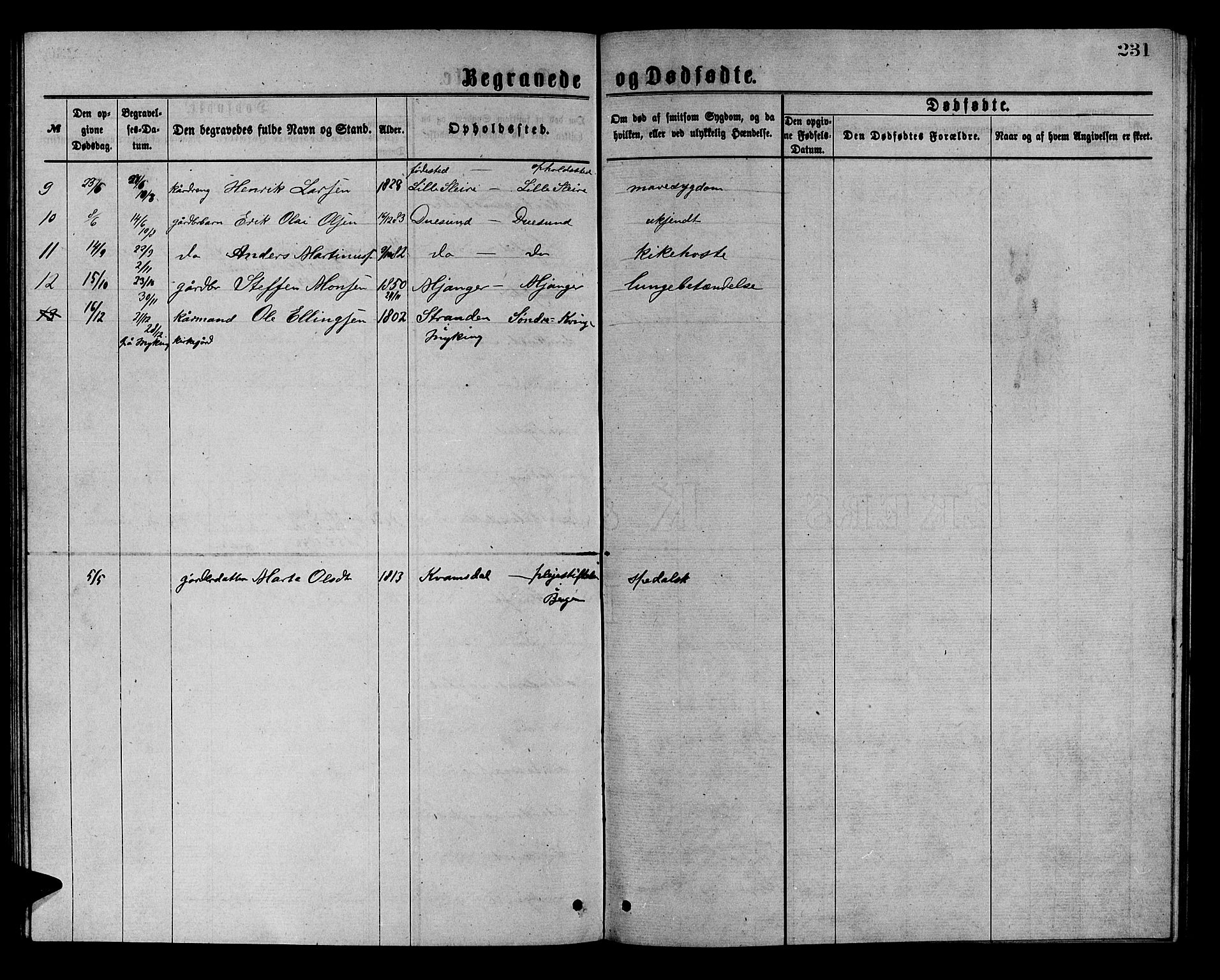 Masfjorden Sokneprestembete, SAB/A-77001: Parish register (copy) no. A 2, 1876-1891, p. 231