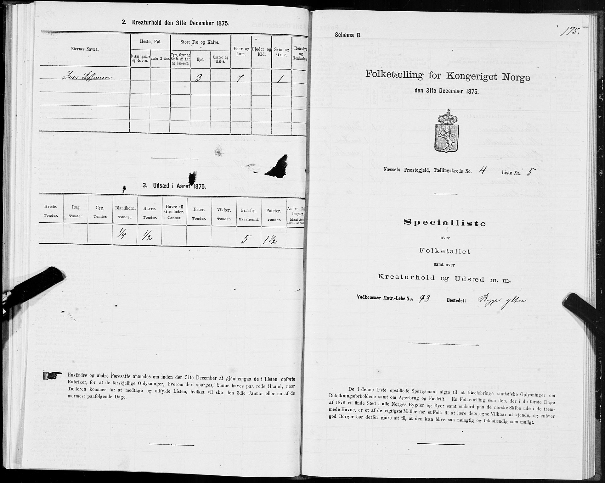 SAT, 1875 census for 1543P Nesset, 1875, p. 2175