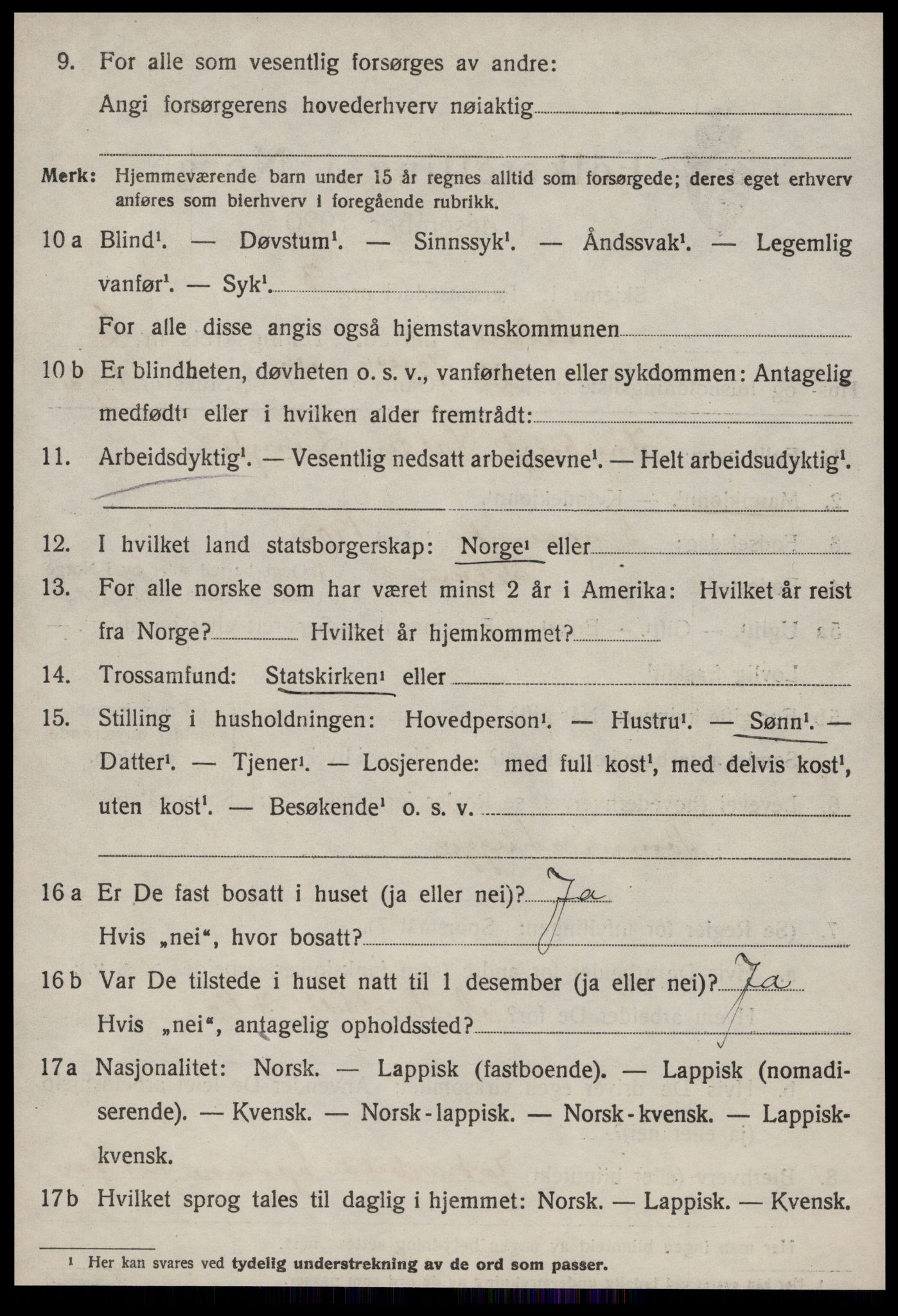 SAT, 1920 census for Selbu, 1920, p. 3729
