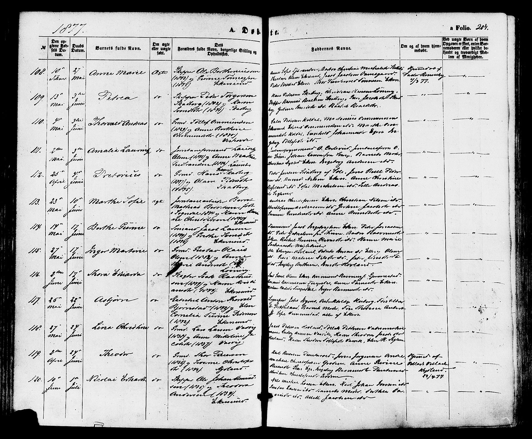 Eigersund sokneprestkontor, SAST/A-101807/S08/L0014: Parish register (official) no. A 13, 1866-1878, p. 204