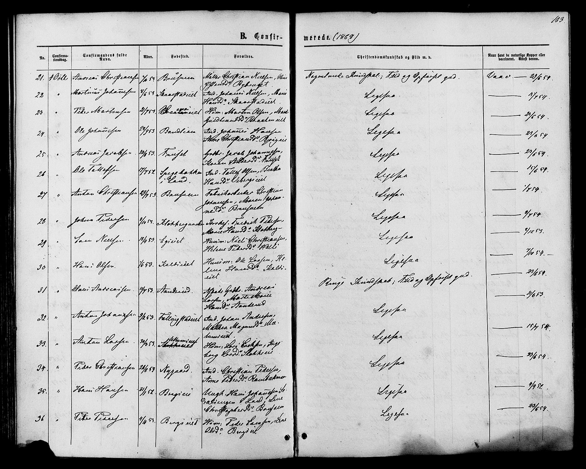 Vardal prestekontor, SAH/PREST-100/H/Ha/Haa/L0007: Parish register (official) no. 7, 1867-1878, p. 163