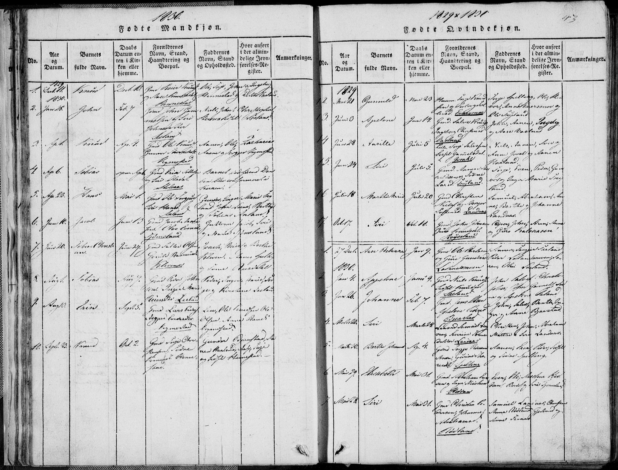 Nord-Audnedal sokneprestkontor, AV/SAK-1111-0032/F/Fb/Fbb/L0001: Parish register (copy) no. B 1, 1816-1858, p. 43