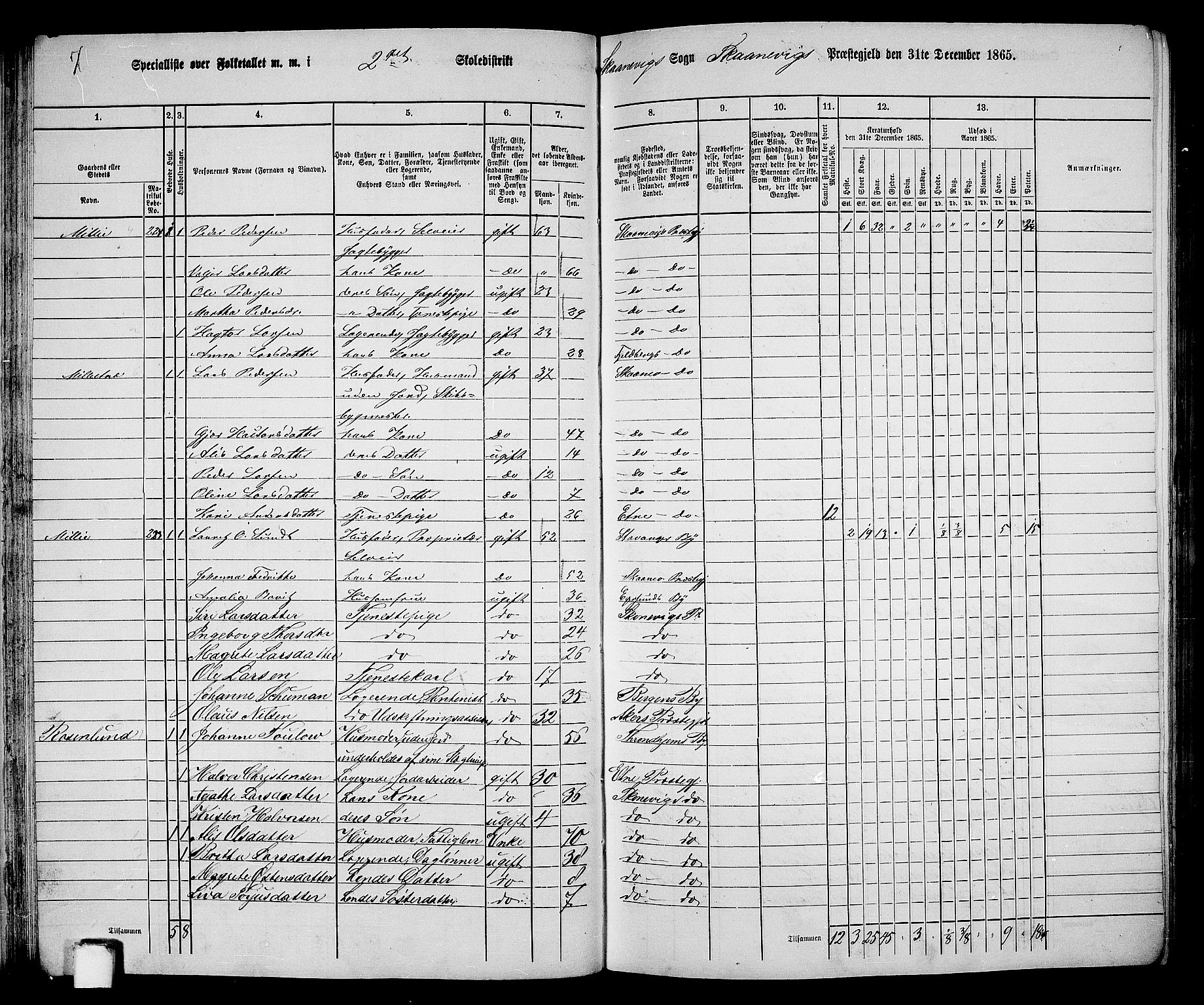 RA, 1865 census for Skånevik, 1865, p. 35