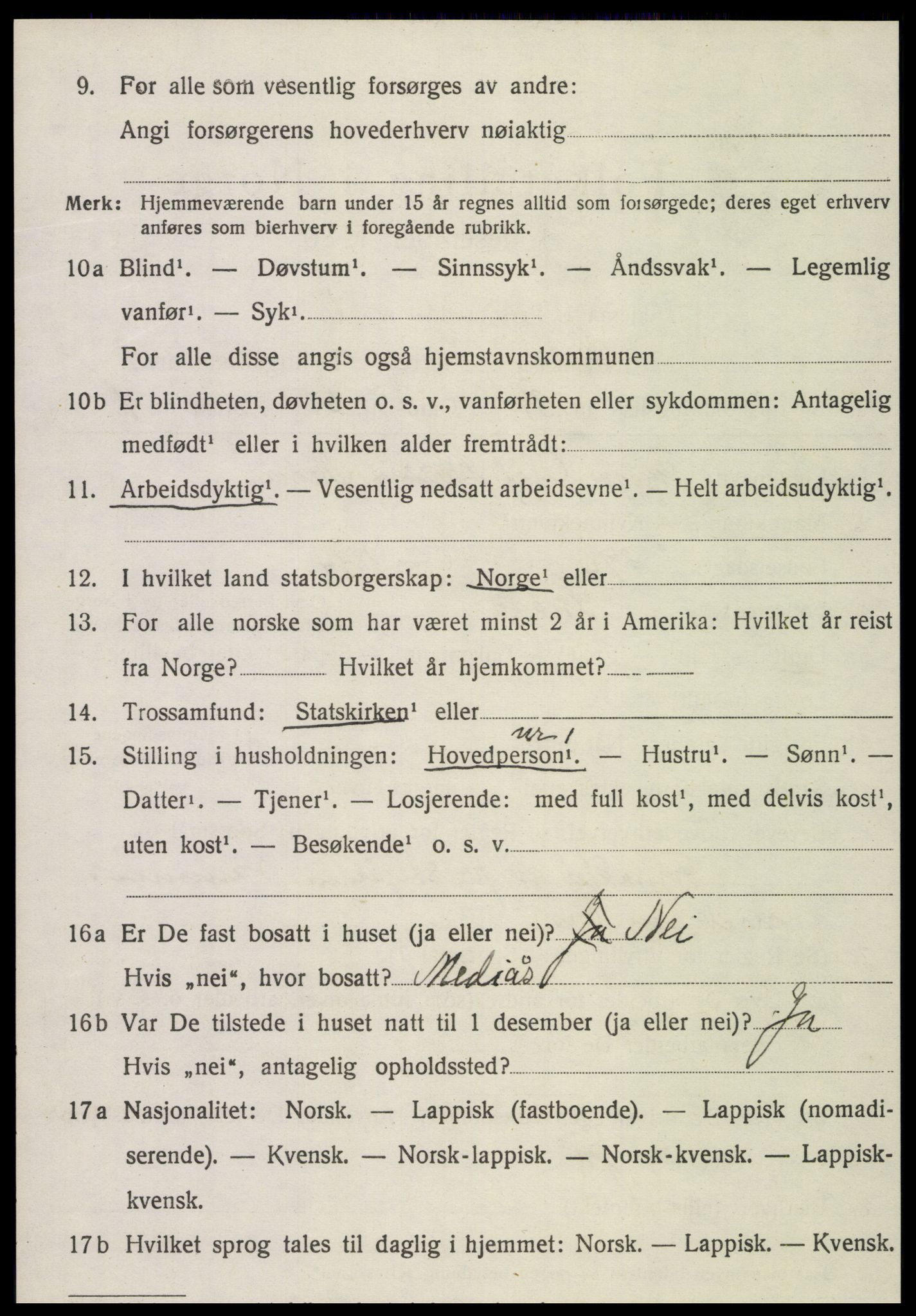 SAT, 1920 census for Snåsa, 1920, p. 4117