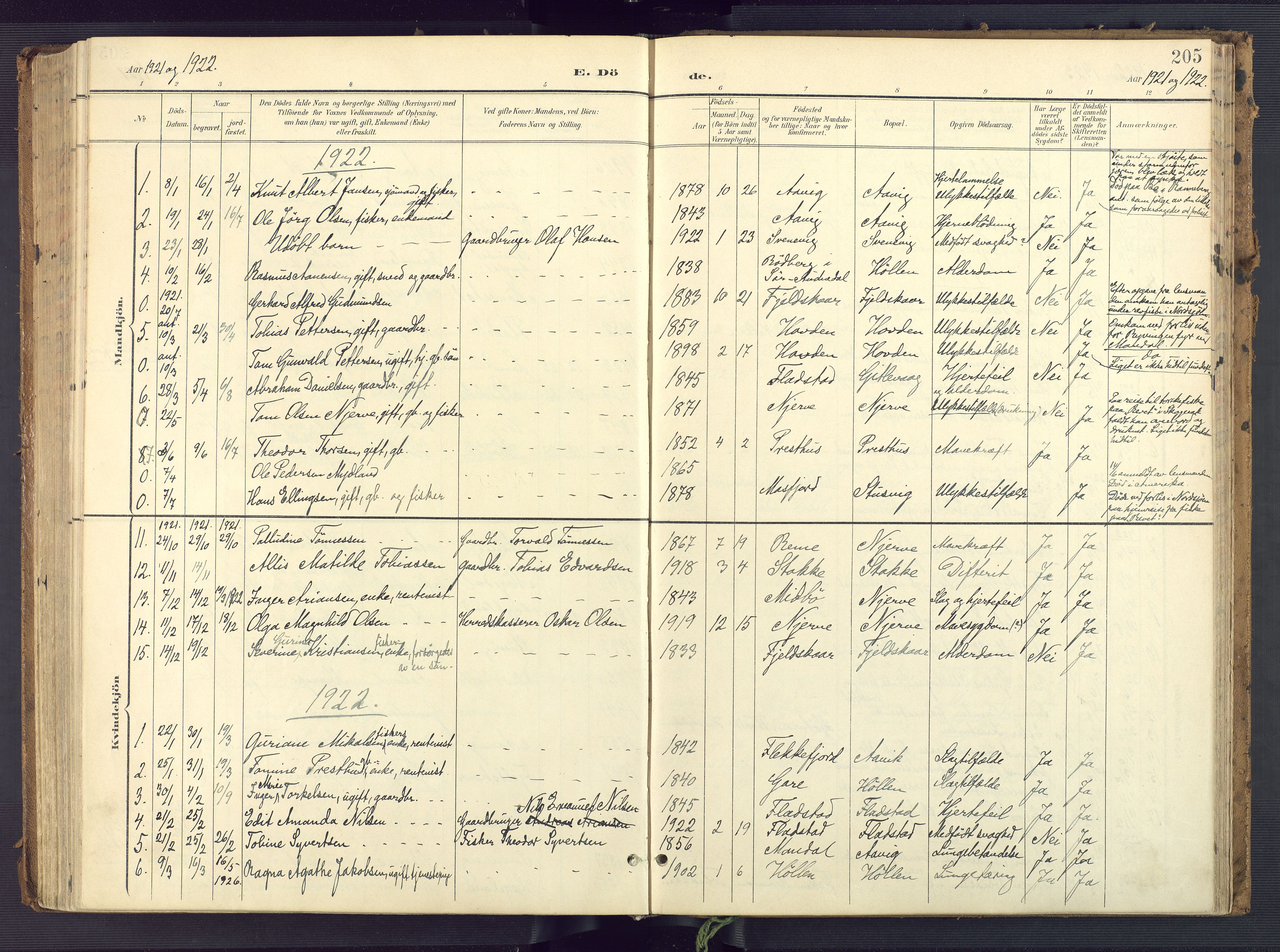 Sør-Audnedal sokneprestkontor, SAK/1111-0039/F/Fa/Faa/L0005: Parish register (official) no. A 5, 1900-1923, p. 205