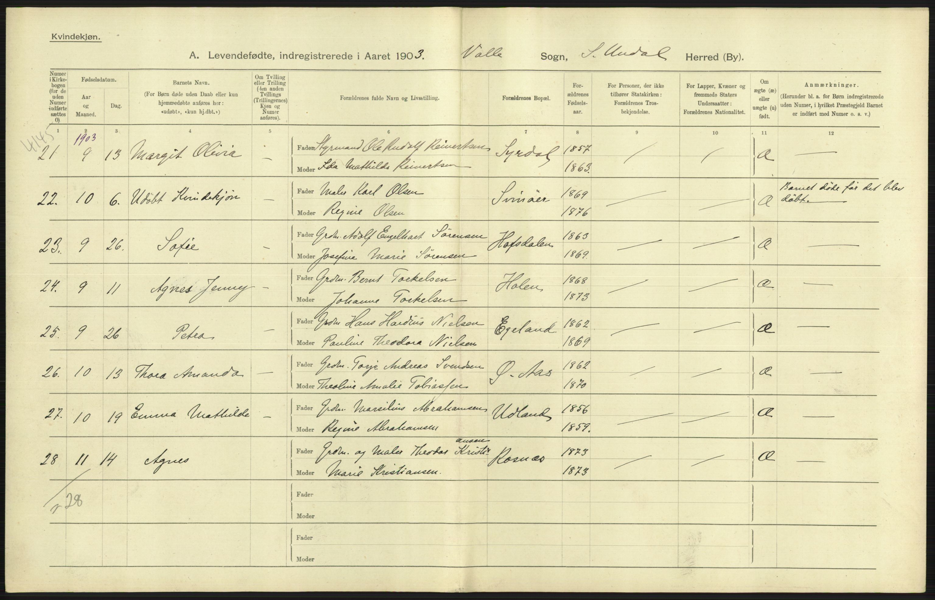 Statistisk sentralbyrå, Sosiodemografiske emner, Befolkning, AV/RA-S-2228/D/Df/Dfa/Dfaa/L0011: Lister og Mandal amt: Fødte, gifte, døde, 1903, p. 105