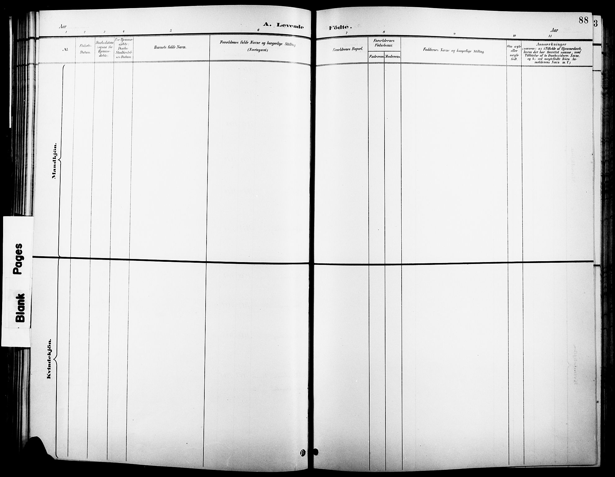 Åsnes prestekontor, AV/SAH-PREST-042/H/Ha/Hab/L0004: Parish register (copy) no. 4, 1895-1909, p. 88