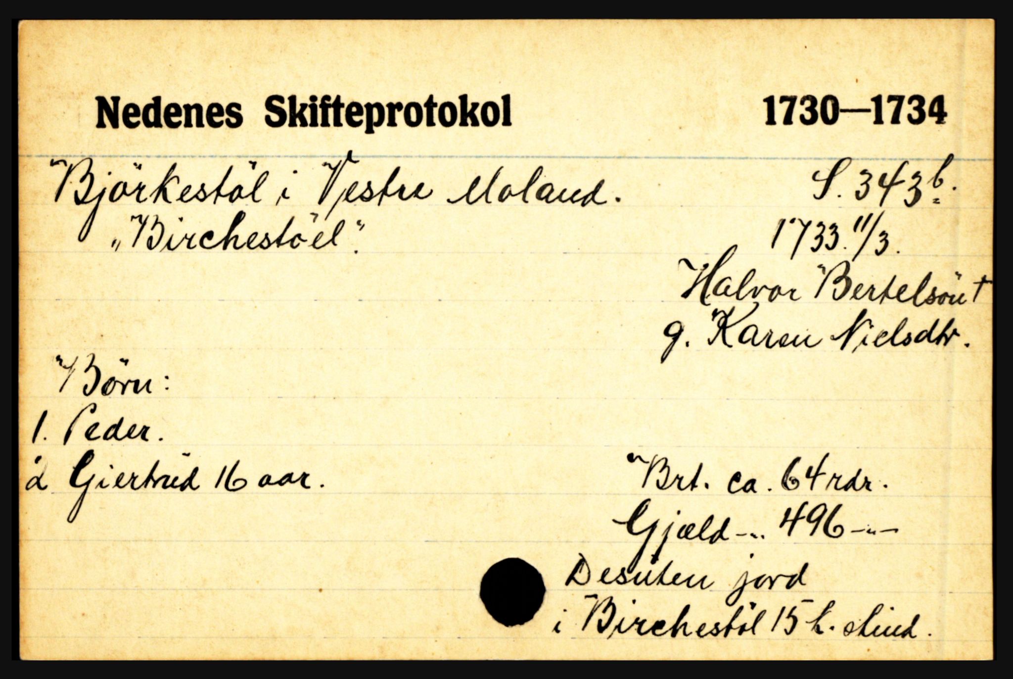 Nedenes sorenskriveri før 1824, AV/SAK-1221-0007/H, p. 2903