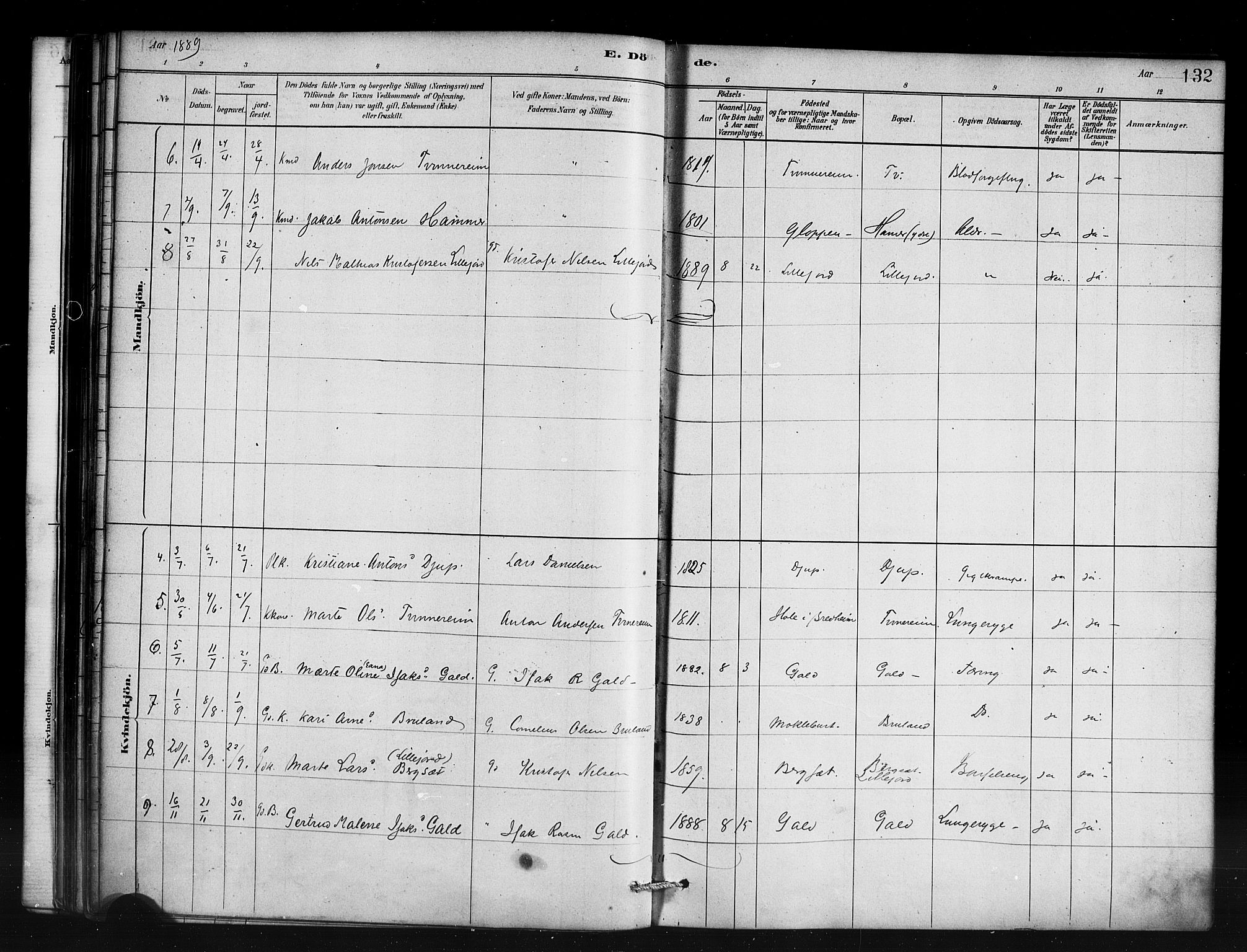 Innvik sokneprestembete, AV/SAB-A-80501: Parish register (official) no. D 1, 1879-1900, p. 132