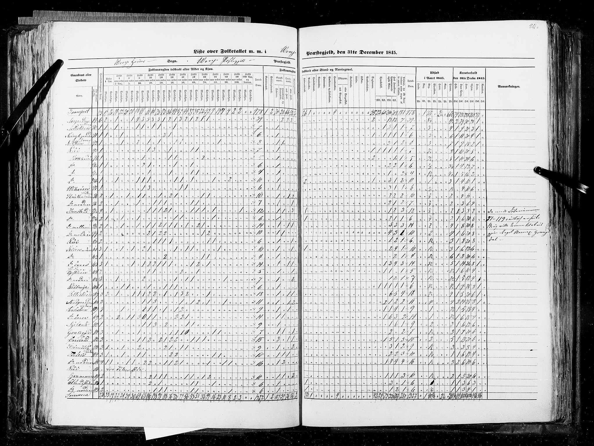 RA, Census 1845, vol. 5: Bratsberg amt og Nedenes og Råbyggelaget amt, 1845, p. 211