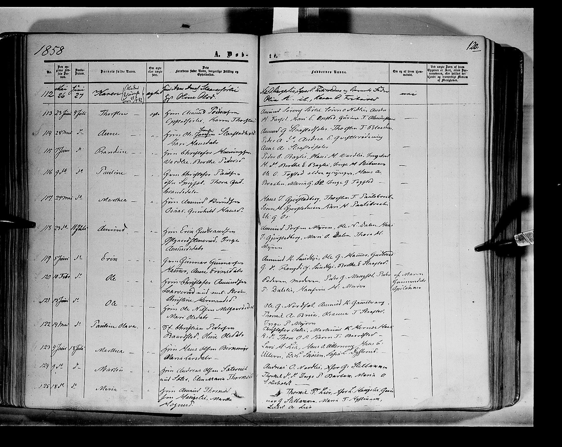Sør-Odal prestekontor, AV/SAH-PREST-030/H/Ha/Haa/L0001: Parish register (official) no. 1, 1849-1859, p. 120
