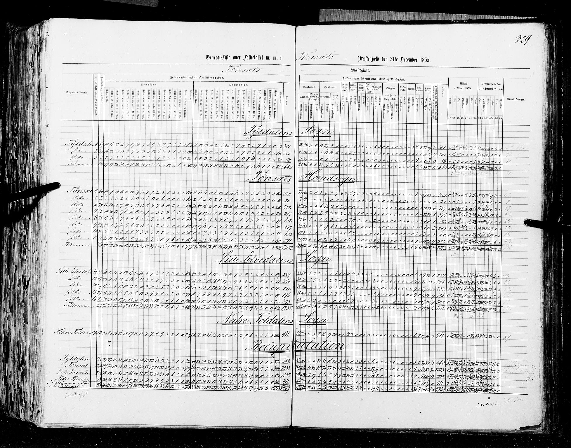 RA, Census 1855, vol. 1: Akershus amt, Smålenenes amt og Hedemarken amt, 1855, p. 329