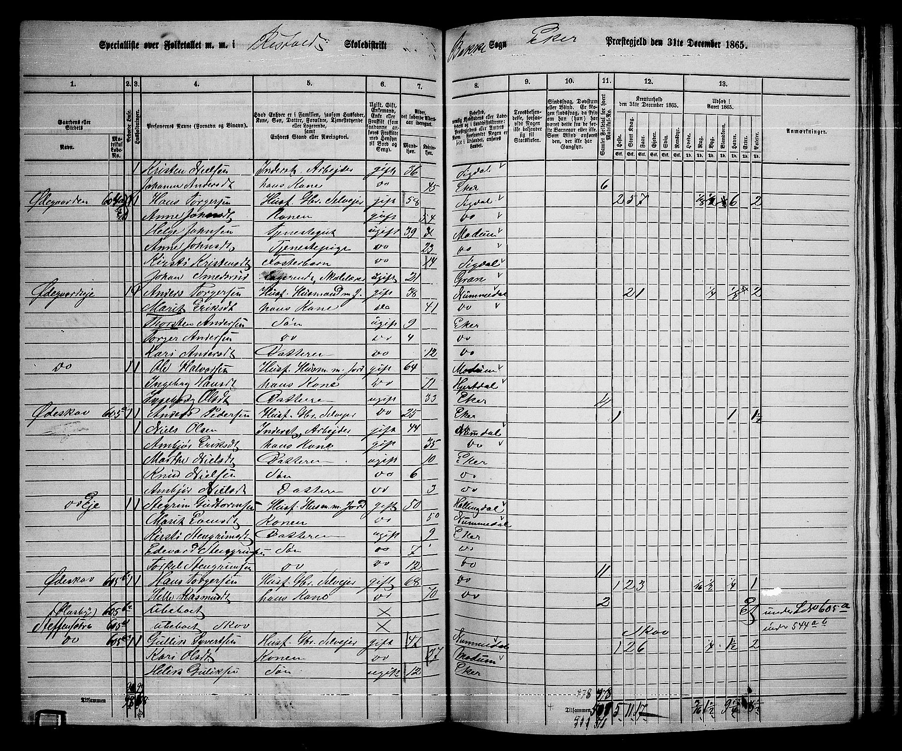 RA, 1865 census for Eiker, 1865, p. 432