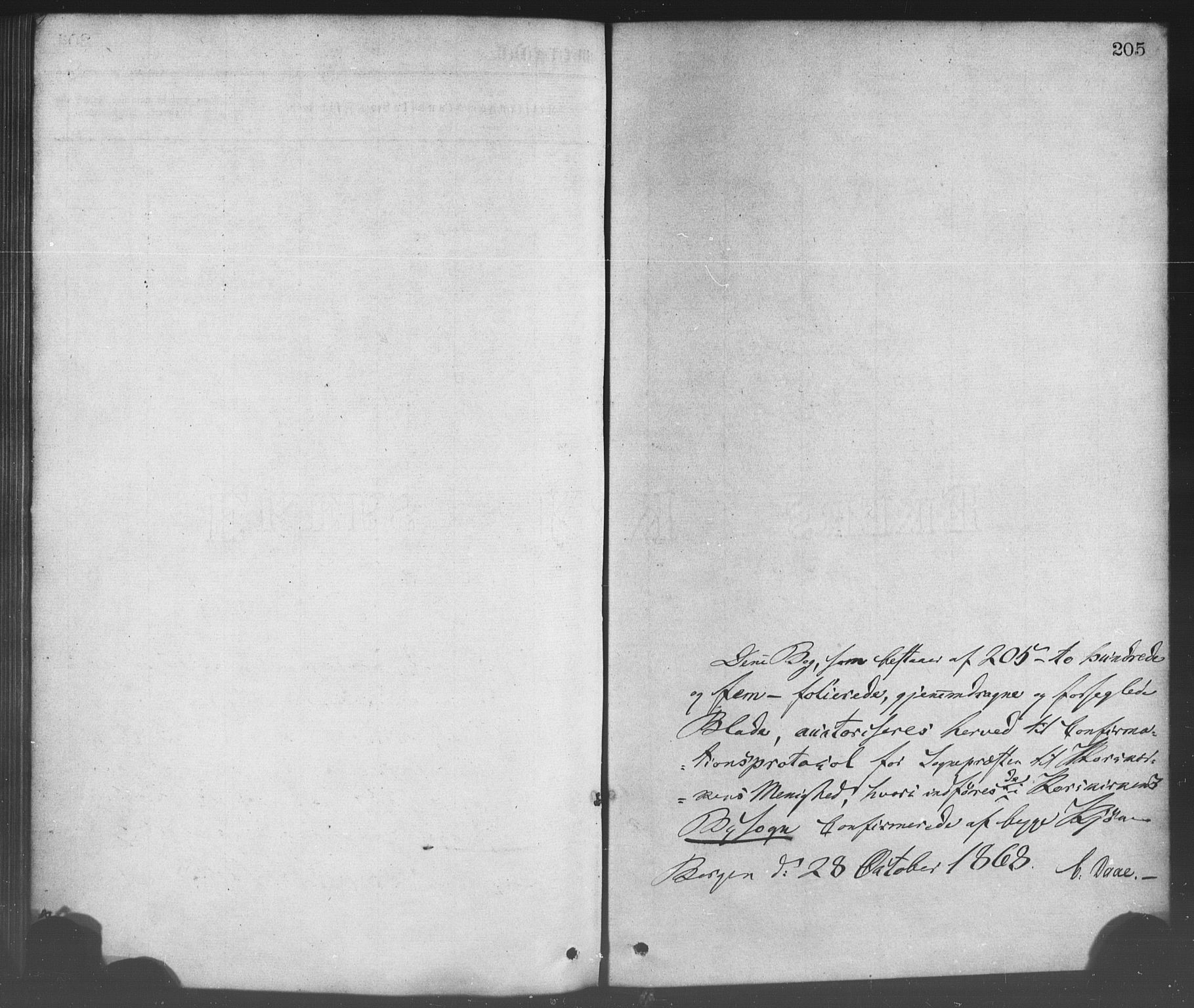 Korskirken sokneprestembete, SAB/A-76101/H/Haa/L0028: Parish register (official) no. C 4, 1868-1879, p. 205