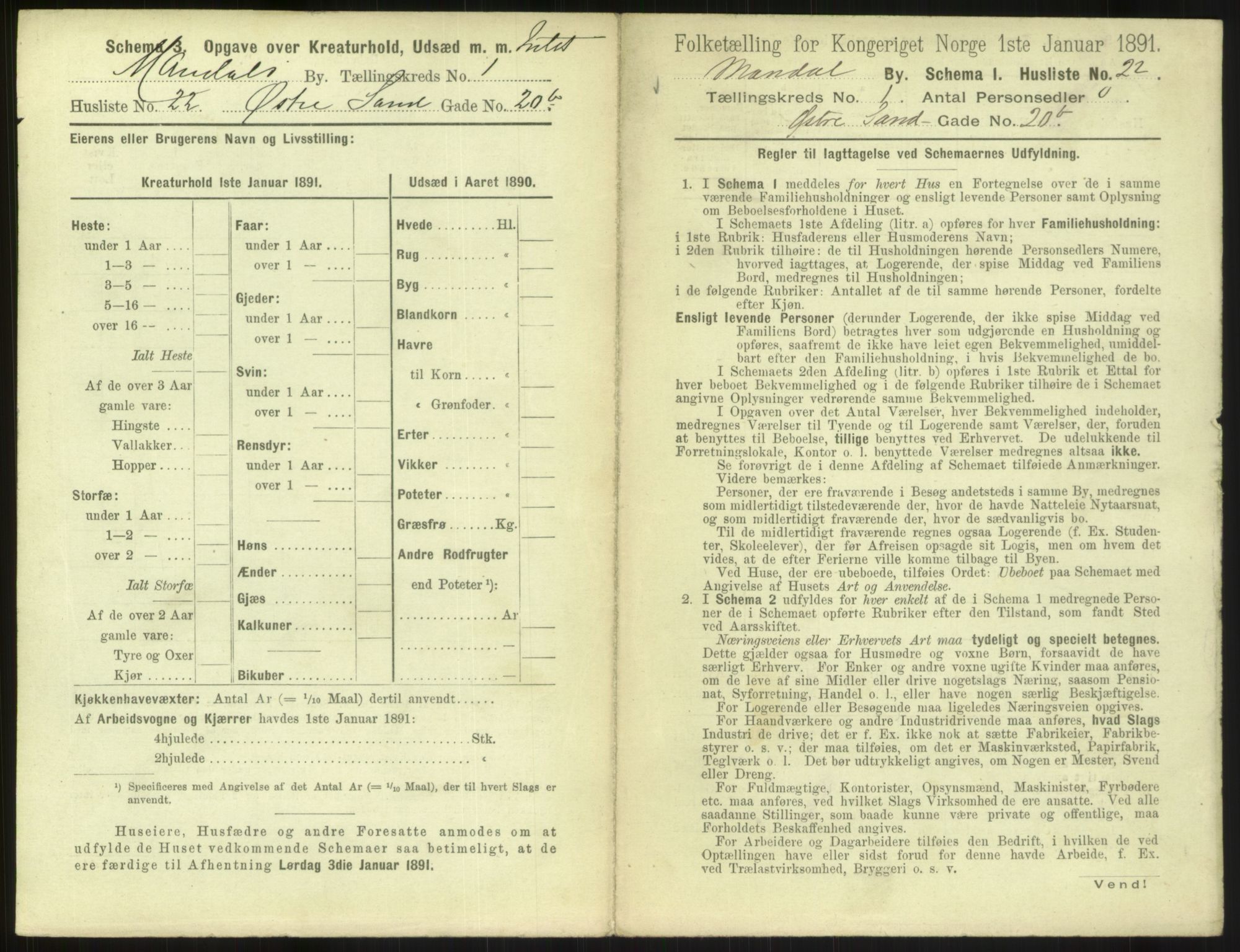 RA, 1891 census for 1002 Mandal, 1891, p. 111