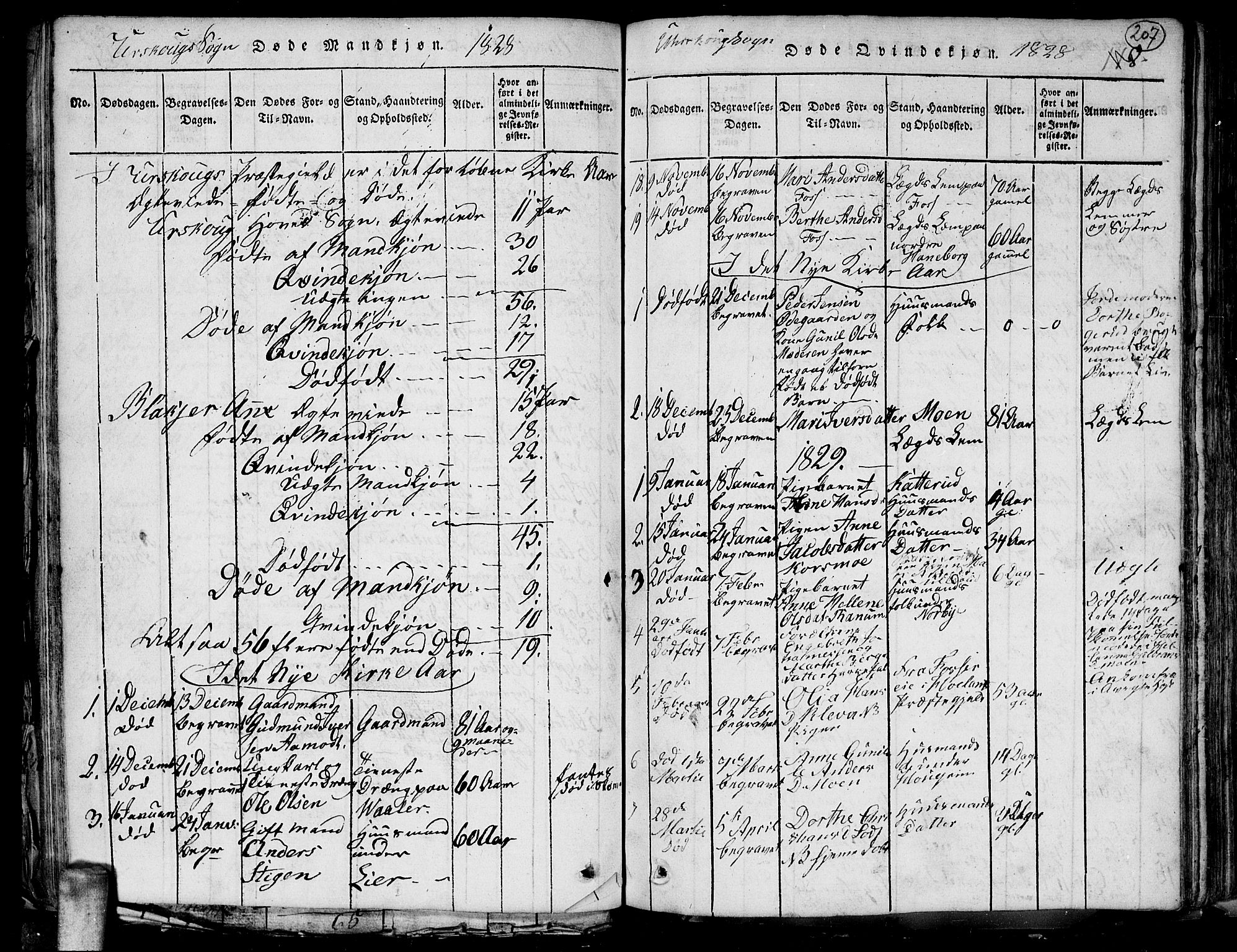 Aurskog prestekontor Kirkebøker, SAO/A-10304a/G/Ga/L0001: Parish register (copy) no. I 1, 1814-1829, p. 207