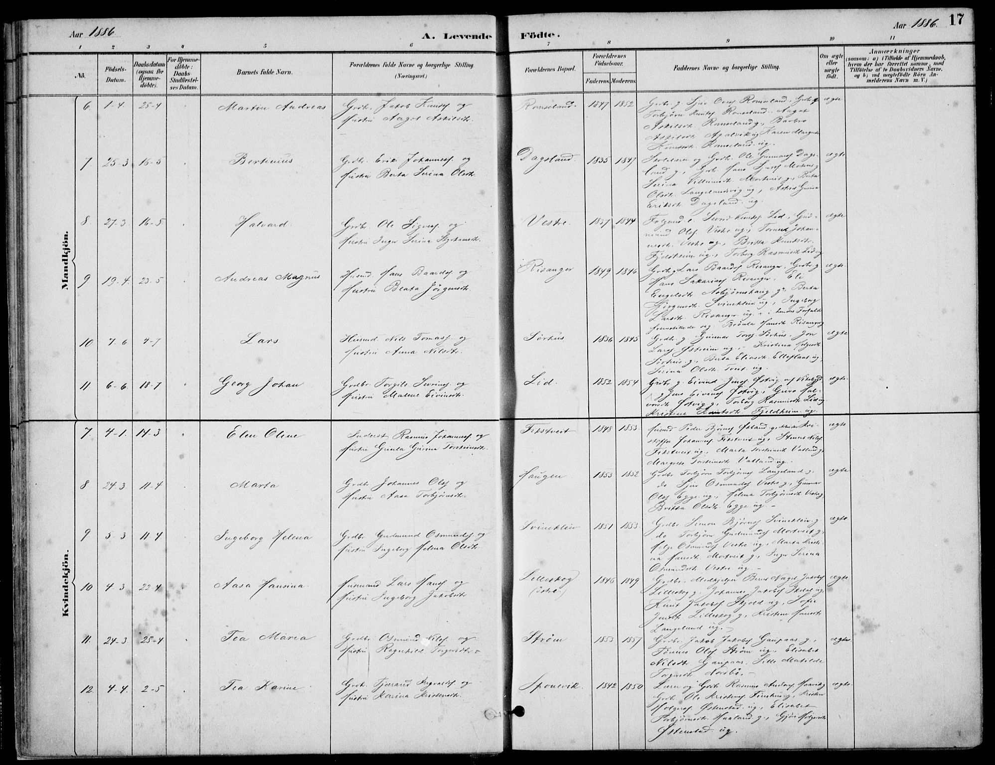 Skjold sokneprestkontor, AV/SAST-A-101847/H/Ha/Haa/L0010: Parish register (official) no. A 10, 1882-1897, p. 17