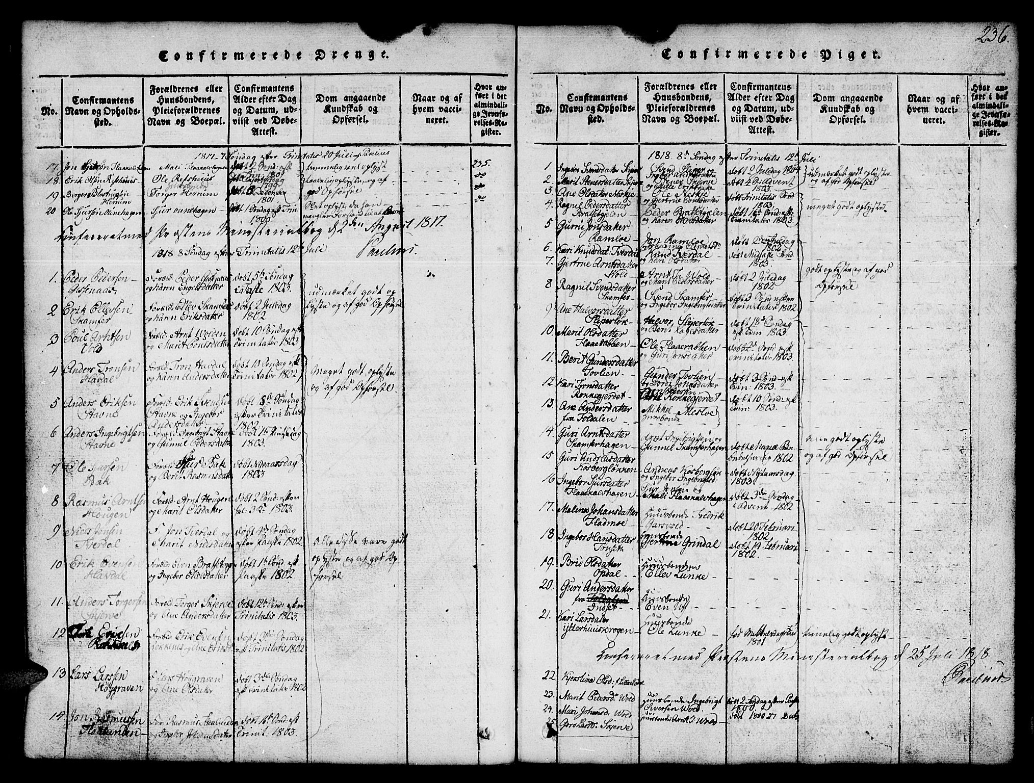 Ministerialprotokoller, klokkerbøker og fødselsregistre - Sør-Trøndelag, SAT/A-1456/674/L0874: Parish register (copy) no. 674C01, 1816-1860, p. 236
