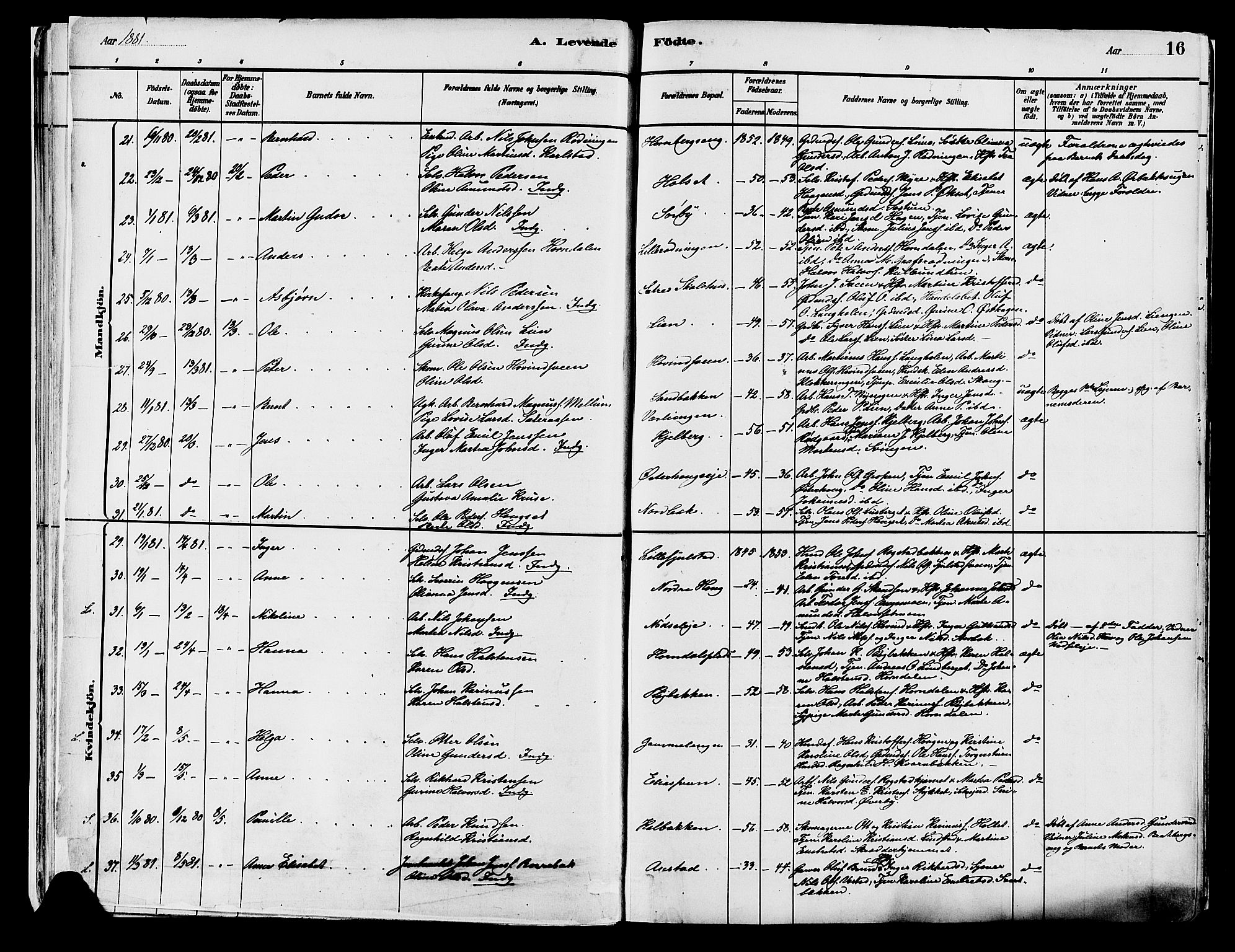 Elverum prestekontor, AV/SAH-PREST-044/H/Ha/Haa/L0013: Parish register (official) no. 13, 1880-1890, p. 16