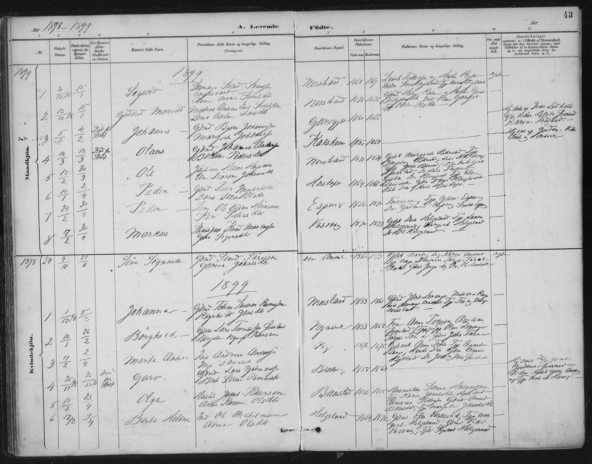 Nedstrand sokneprestkontor, SAST/A-101841/01/IV: Parish register (official) no. A 12, 1887-1915, p. 43