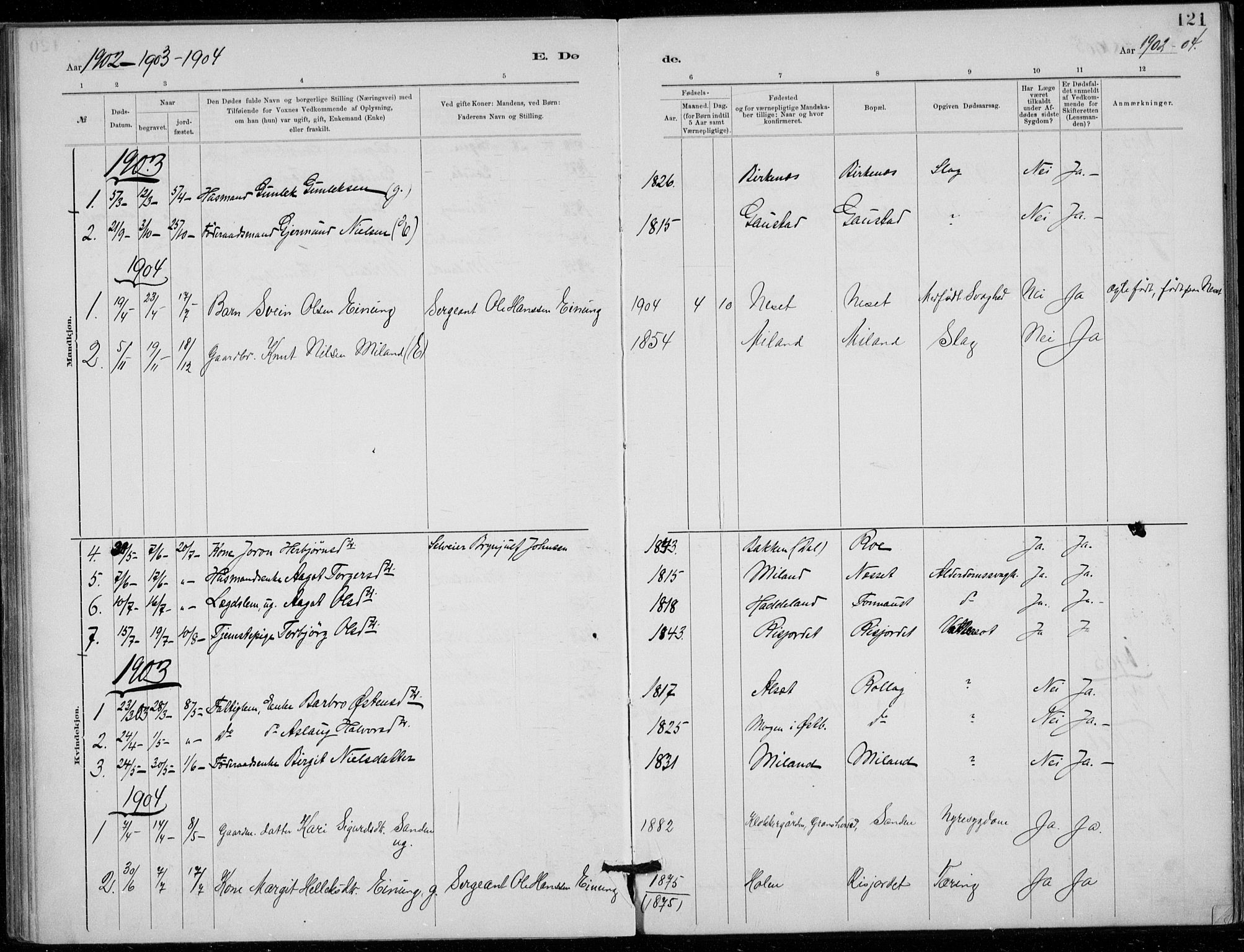 Tinn kirkebøker, SAKO/A-308/F/Fb/L0002: Parish register (official) no. II 2, 1878-1917, p. 121