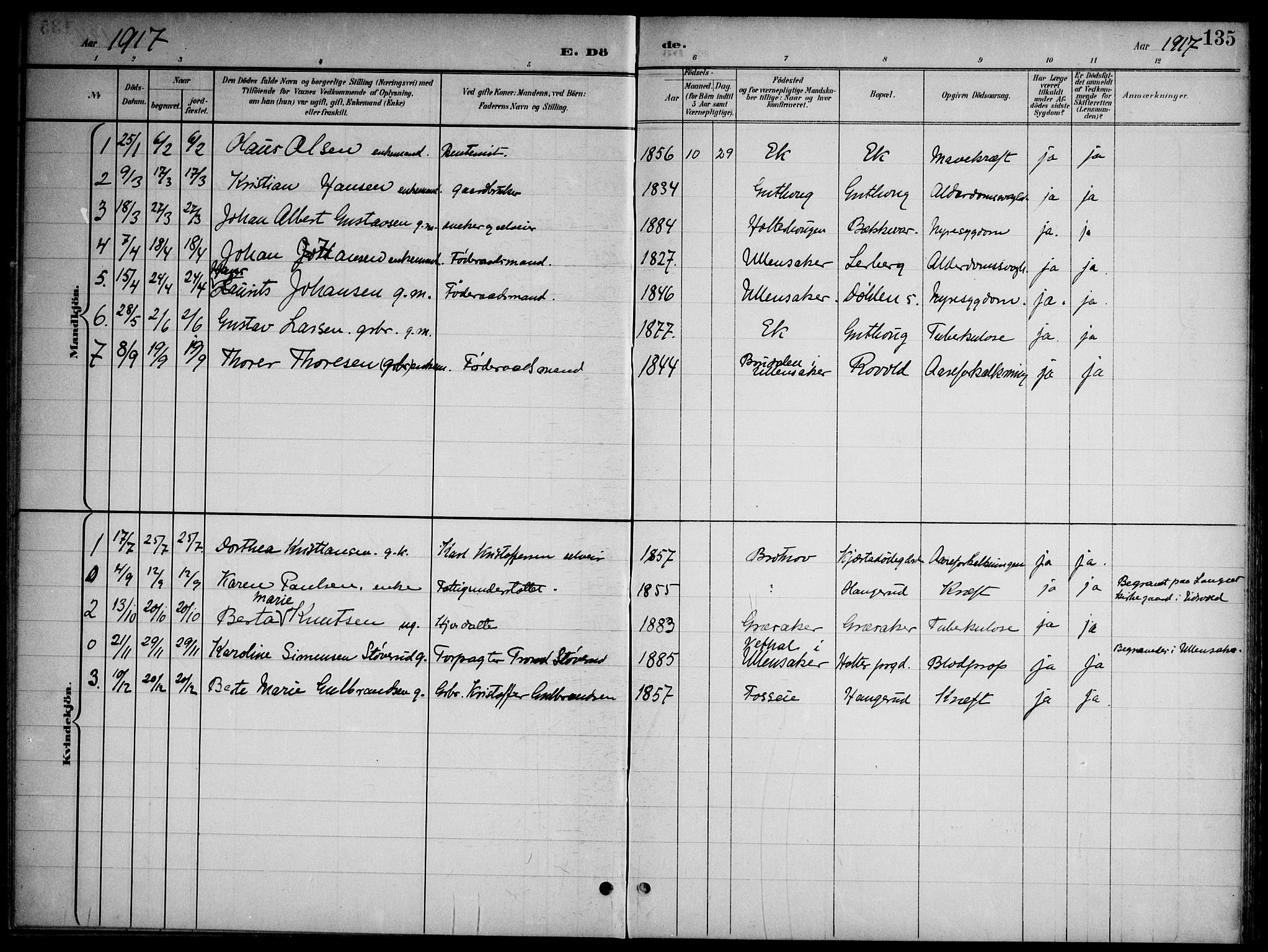 Nannestad prestekontor Kirkebøker, SAO/A-10414a/G/Gb/L0001: Parish register (copy) no. II 1, 1901-1917, p. 135