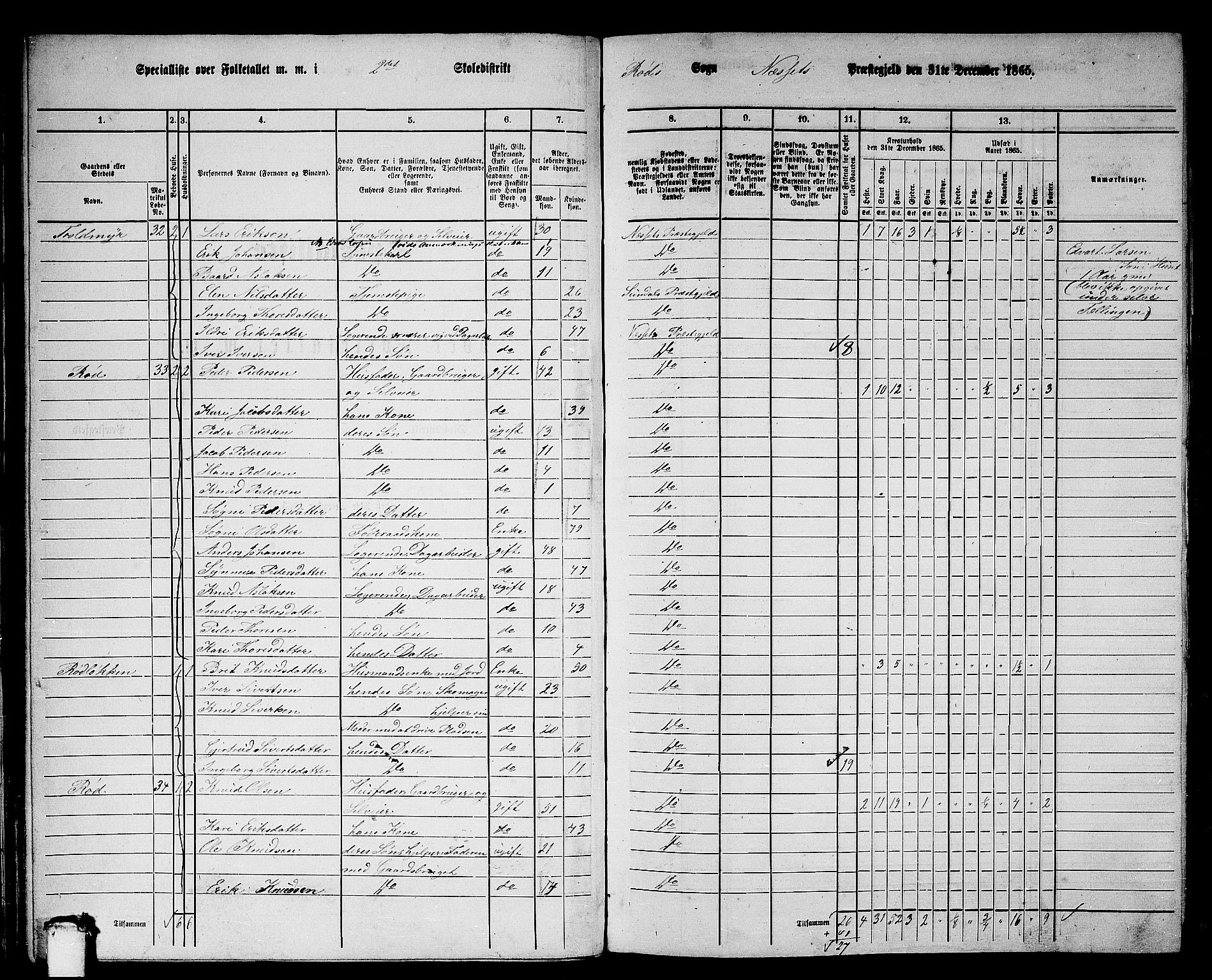 RA, 1865 census for Nesset, 1865, p. 33