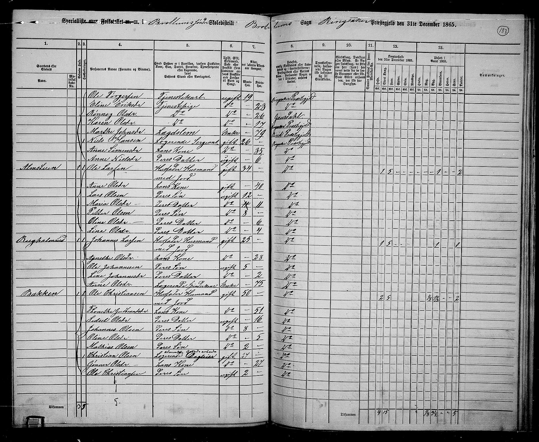 RA, 1865 census for Ringsaker, 1865, p. 425