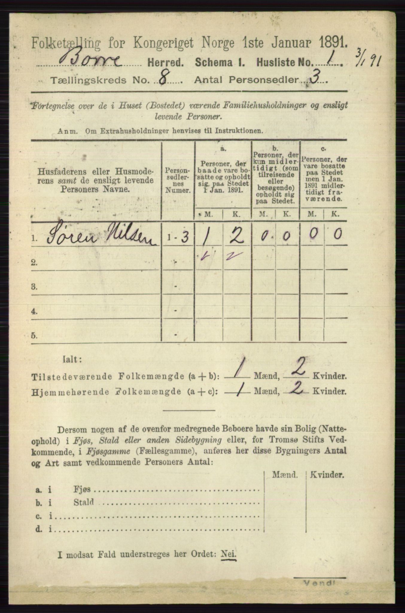 RA, 1891 census for 0717 Borre, 1891, p. 3673