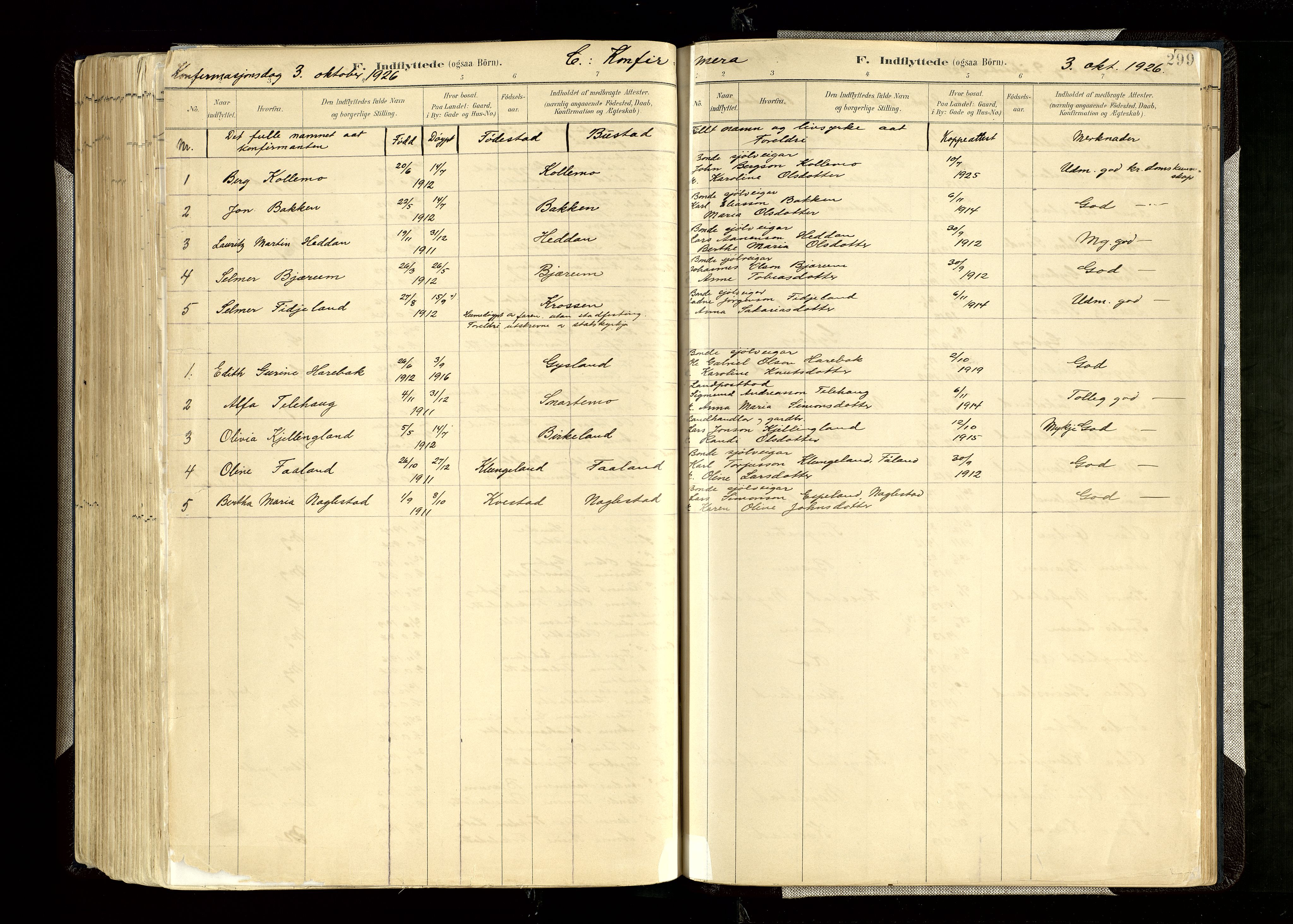 Hægebostad sokneprestkontor, AV/SAK-1111-0024/F/Fa/Faa/L0006: Parish register (official) no. A 6, 1887-1929, p. 299