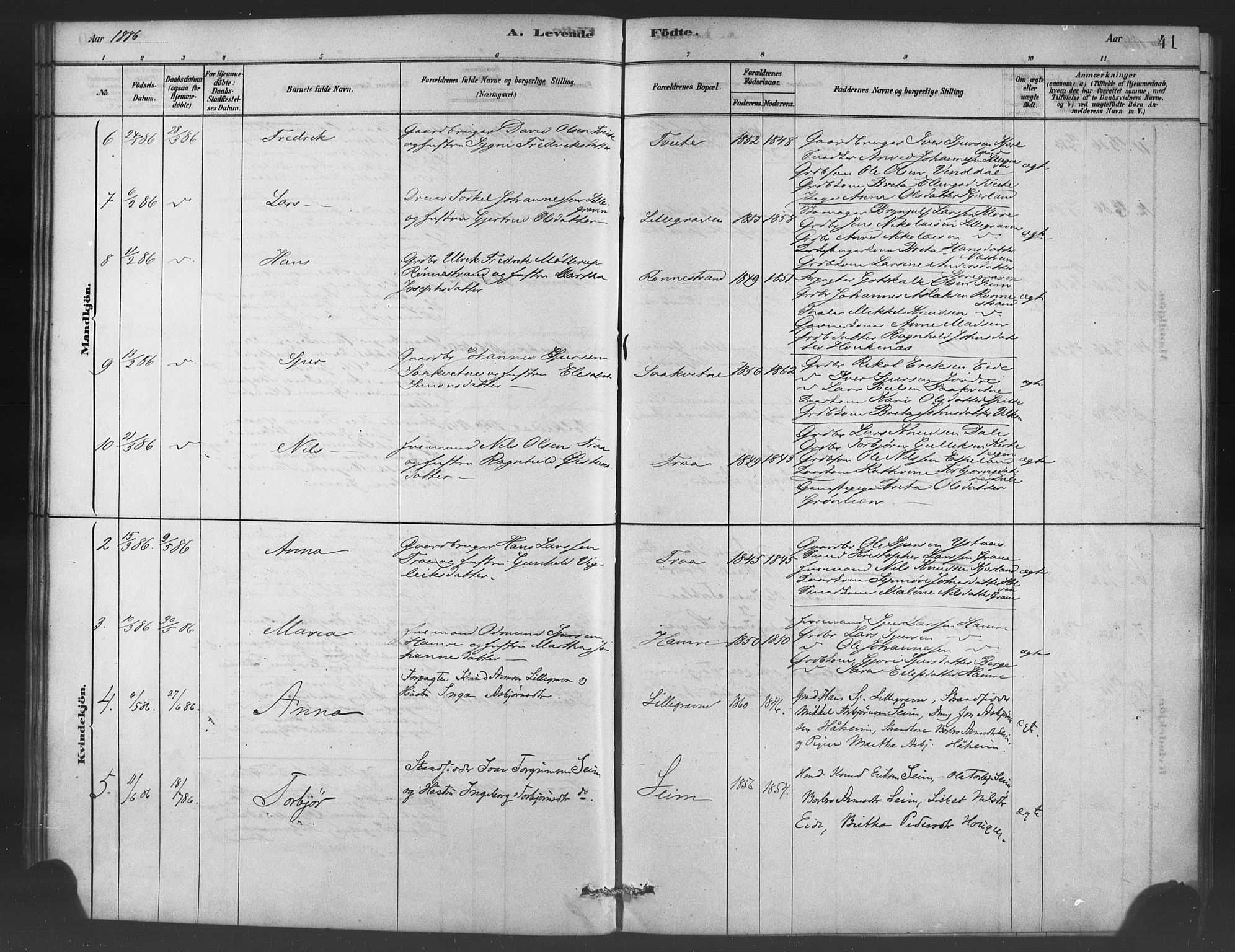 Ulvik sokneprestembete, AV/SAB-A-78801/H/Haa: Parish register (official) no. C 1, 1878-1903, p. 41