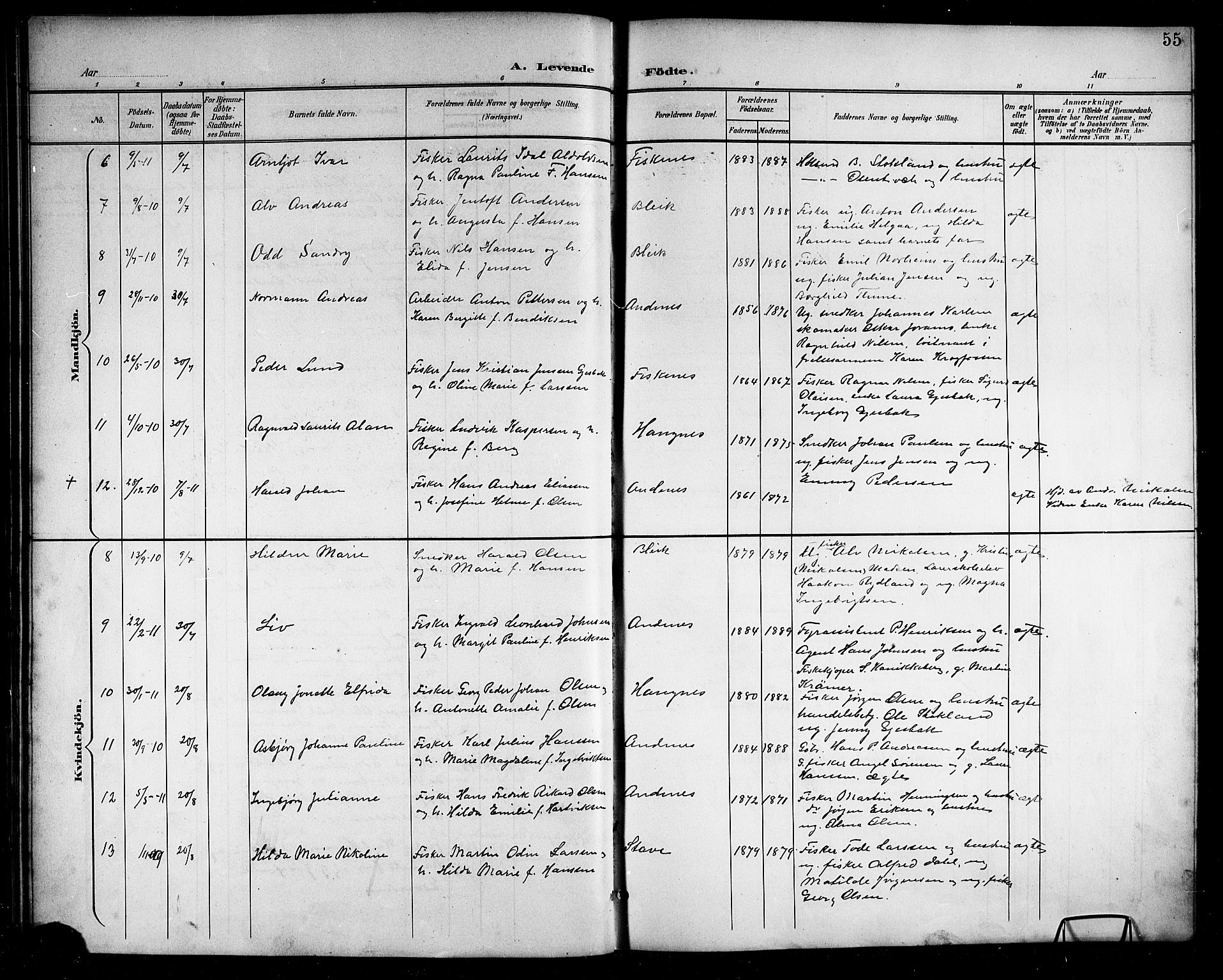 Ministerialprotokoller, klokkerbøker og fødselsregistre - Nordland, AV/SAT-A-1459/899/L1449: Parish register (copy) no. 899C04, 1900-1918, p. 55