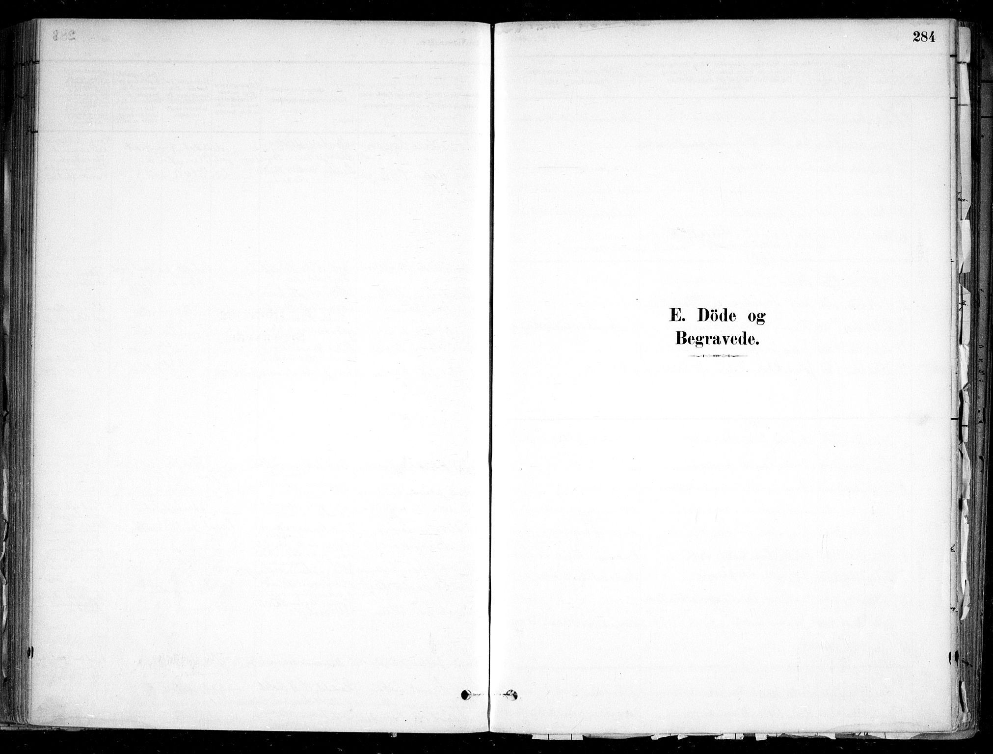 Nesodden prestekontor Kirkebøker, SAO/A-10013/F/Fa/L0009: Parish register (official) no. I 9, 1880-1915, p. 284