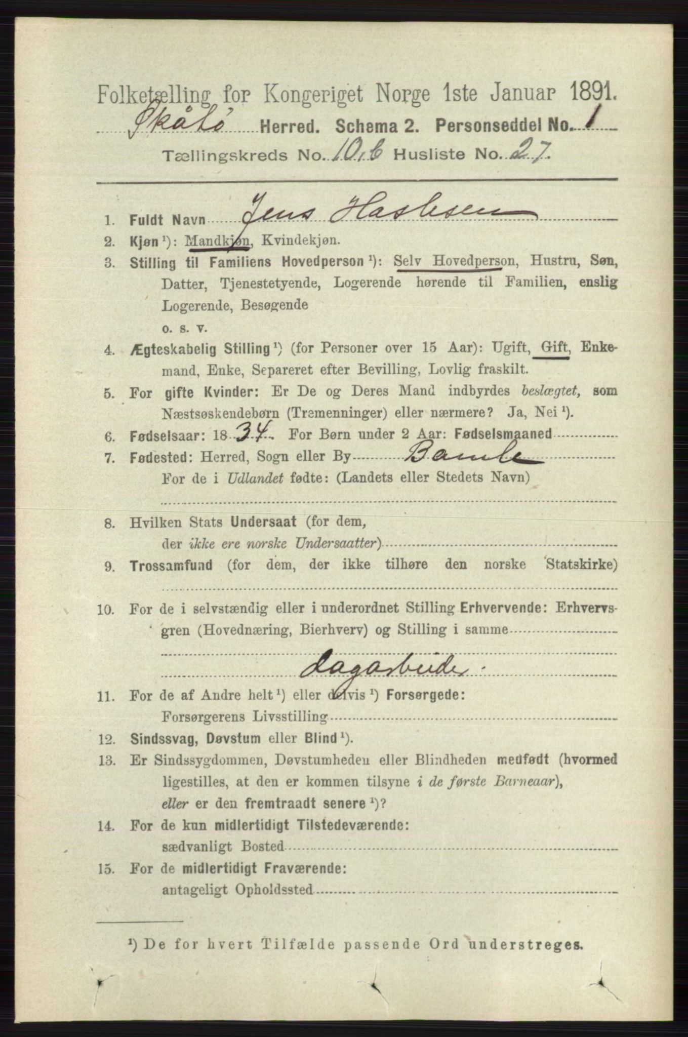 RA, 1891 census for 0815 Skåtøy, 1891, p. 4200