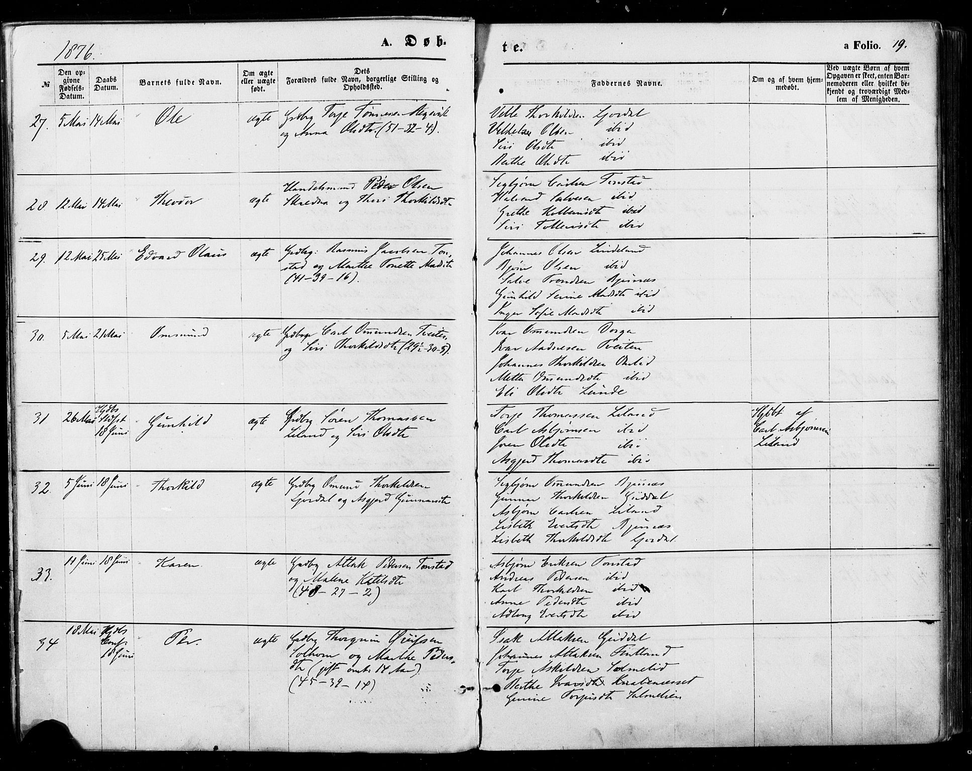 Sirdal sokneprestkontor, SAK/1111-0036/F/Fa/Fab/L0003: Parish register (official) no. A 3, 1874-1886, p. 19