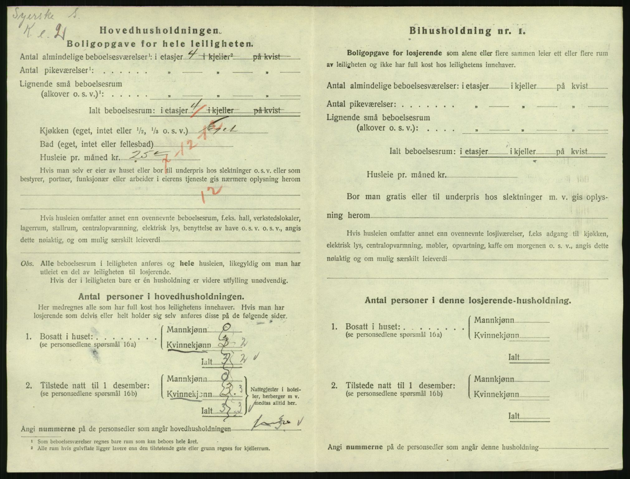 SAKO, 1920 census for Hønefoss, 1920, p. 1915