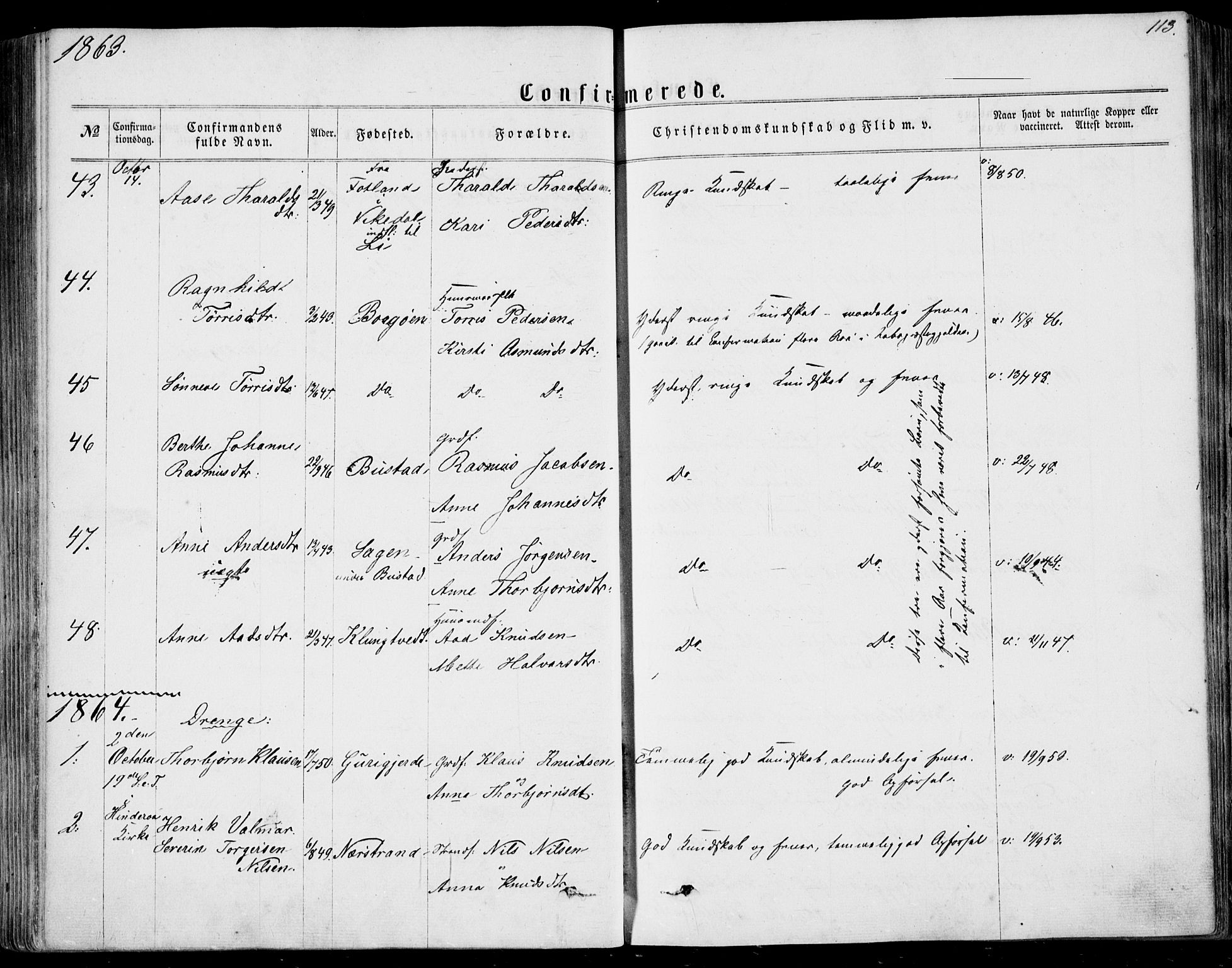 Nedstrand sokneprestkontor, SAST/A-101841/01/IV: Parish register (official) no. A 9, 1861-1876, p. 113