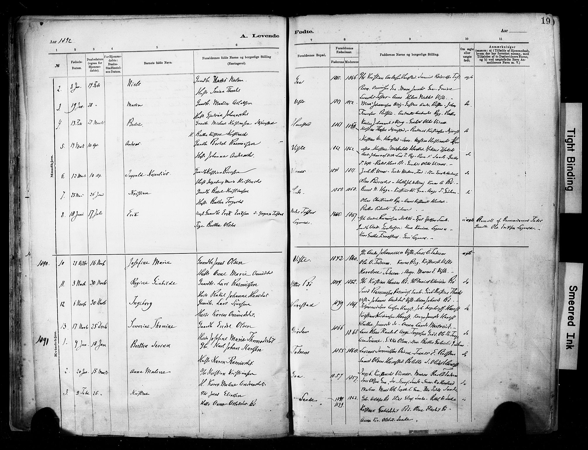 Hetland sokneprestkontor, SAST/A-101826/30/30BA/L0009: Parish register (official) no. A 9, 1882-1918, p. 19