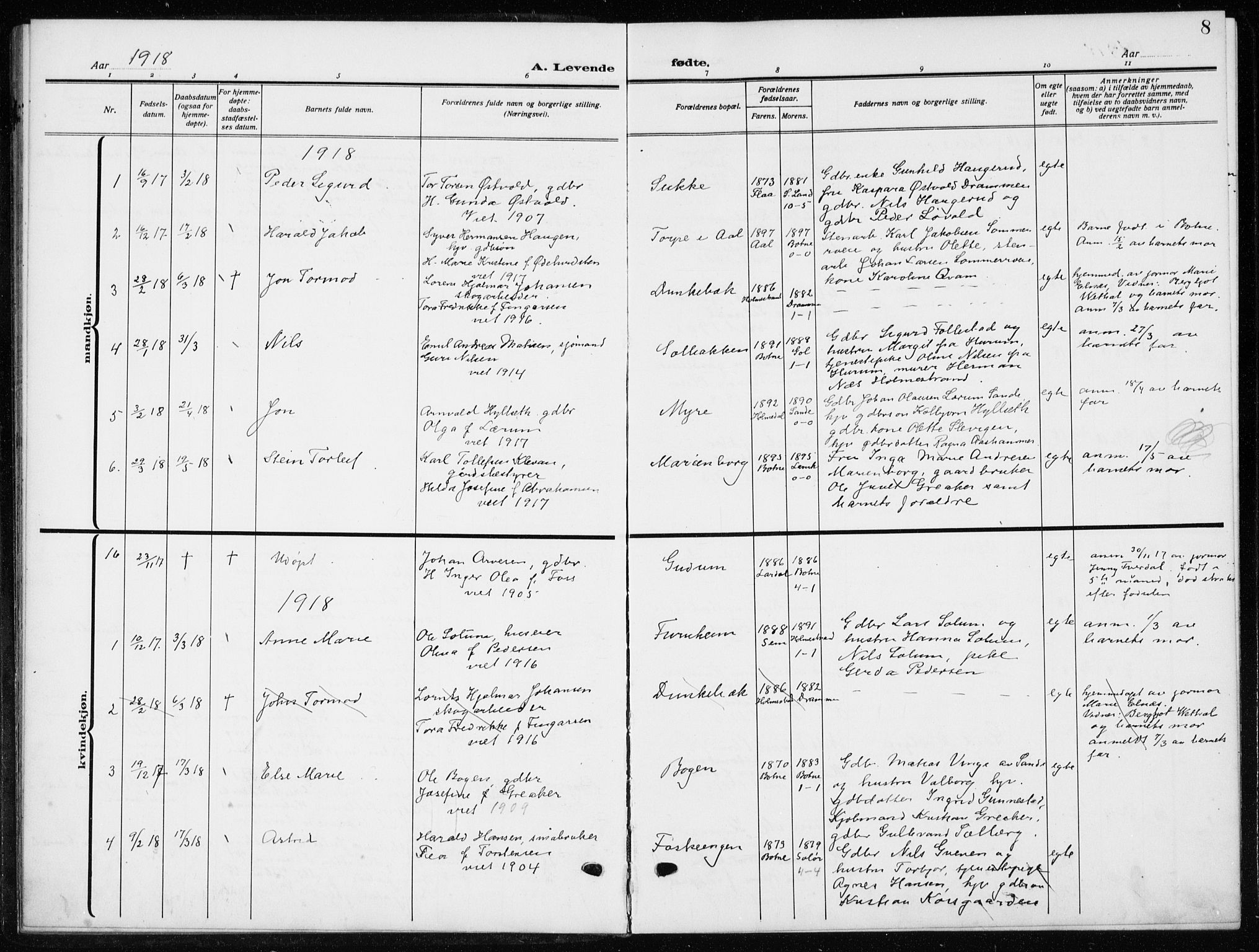 Botne kirkebøker, AV/SAKO-A-340/G/Ga/L0005: Parish register (copy) no. I 5, 1916-1934, p. 8