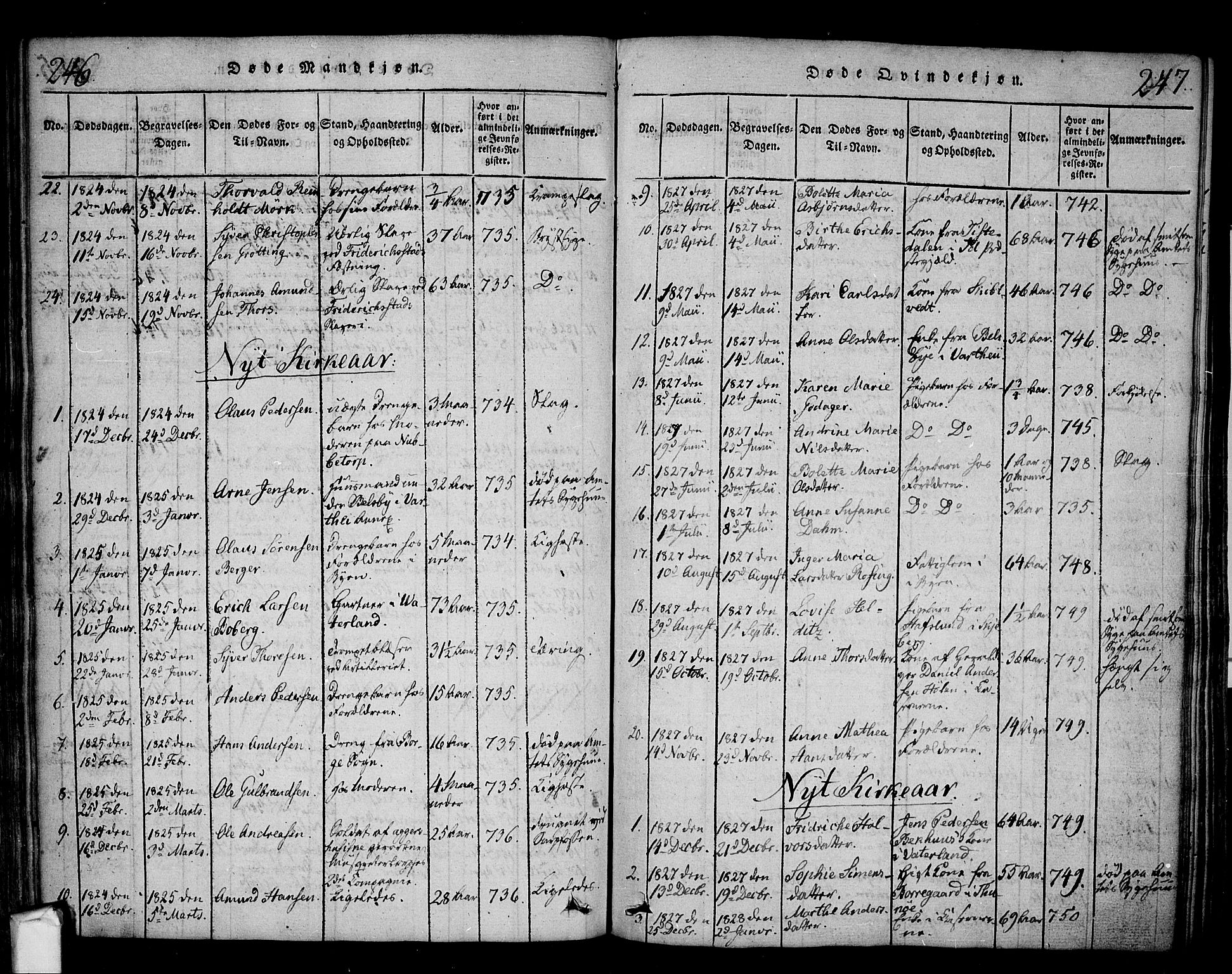 Fredrikstad prestekontor Kirkebøker, SAO/A-11082/F/Fa/L0004: Parish register (official) no. 4, 1816-1834, p. 246-247