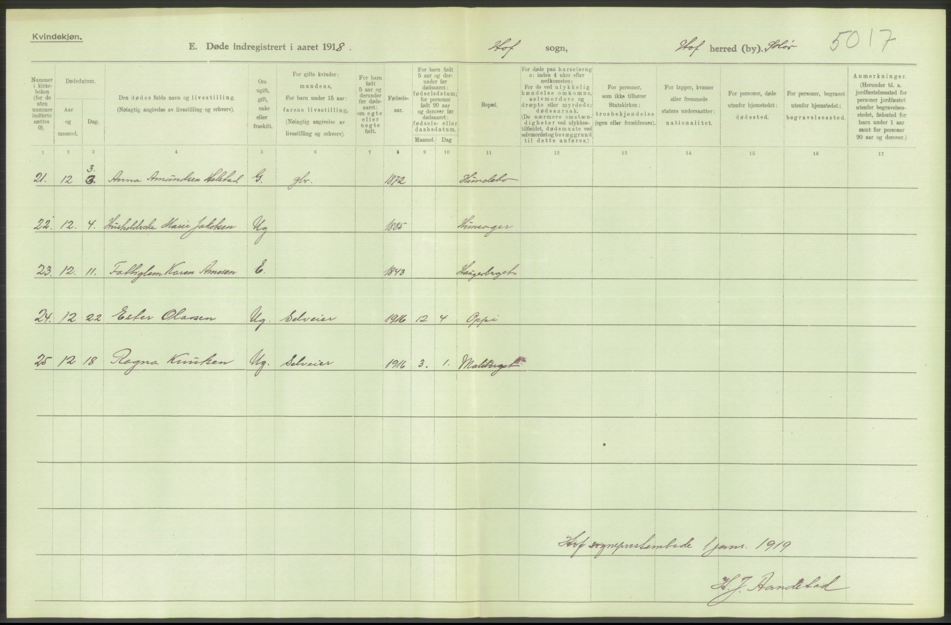 Statistisk sentralbyrå, Sosiodemografiske emner, Befolkning, RA/S-2228/D/Df/Dfb/Dfbh/L0014: Hedemarkens fylke: Døde. Bygder og byer., 1918, p. 76