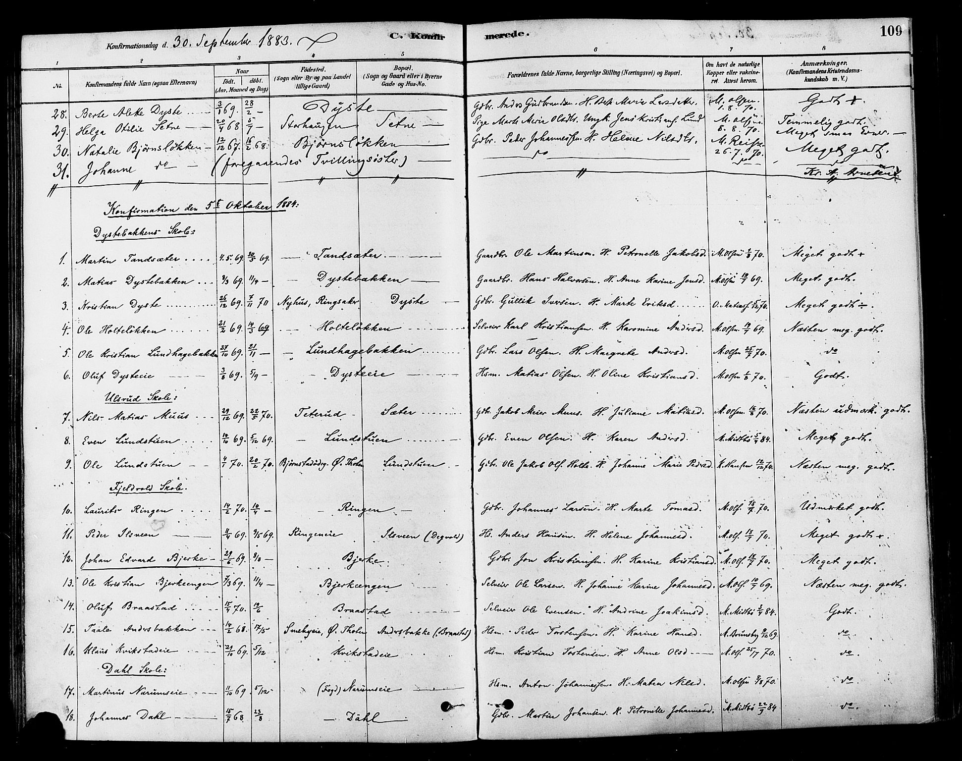 Vestre Toten prestekontor, AV/SAH-PREST-108/H/Ha/Haa/L0010: Parish register (official) no. 10, 1878-1894, p. 109