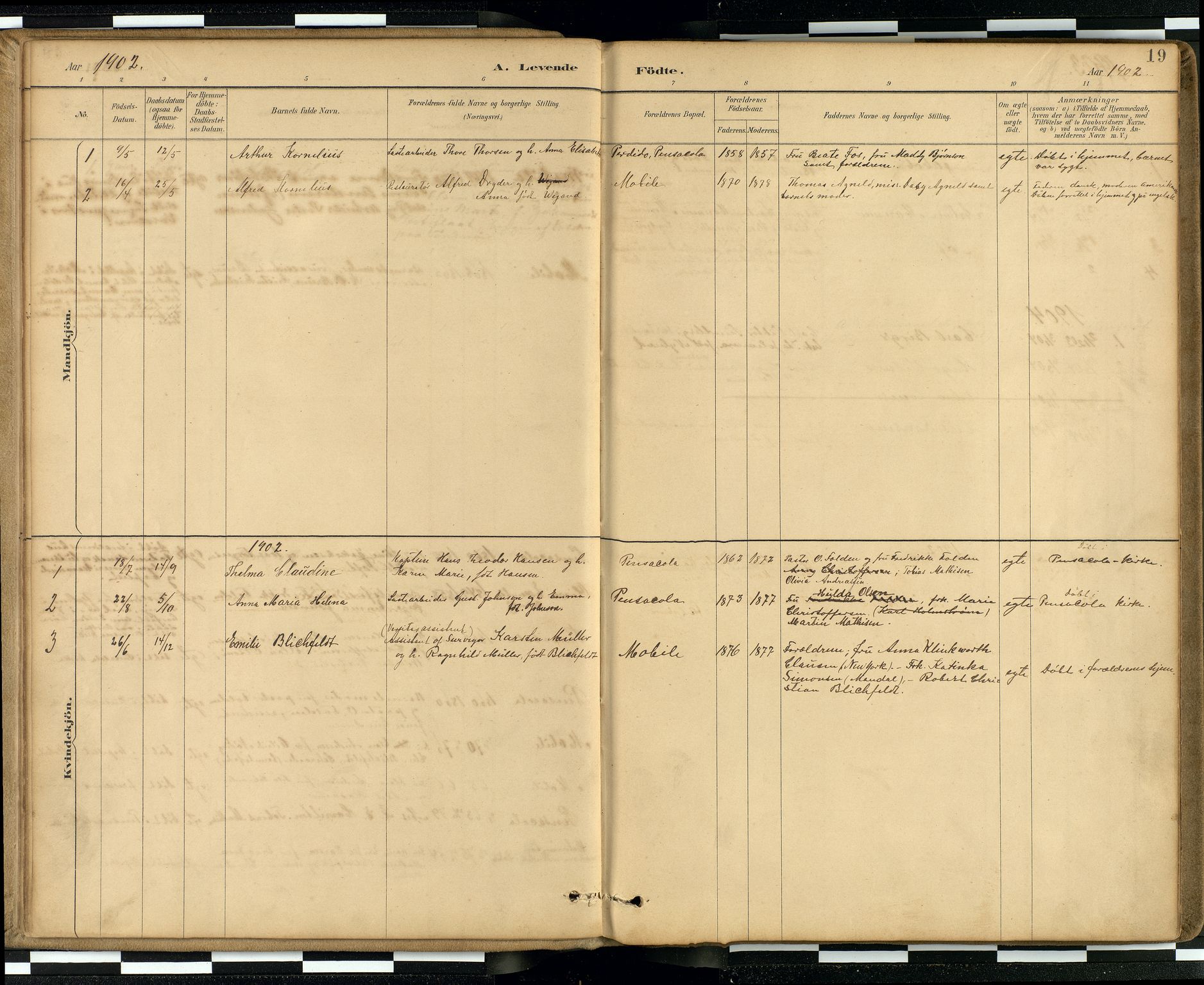 Den norske sjømannsmisjon i utlandet / Quebec (Canada) samt Pensacola--Savannah-Mobile-New Orleans-Gulfport (Gulfhamnene i USA), SAB/SAB/PA-0114/H/Ha/L0001: Parish register (official) no. A 1, 1887-1924, p. 18b-19a