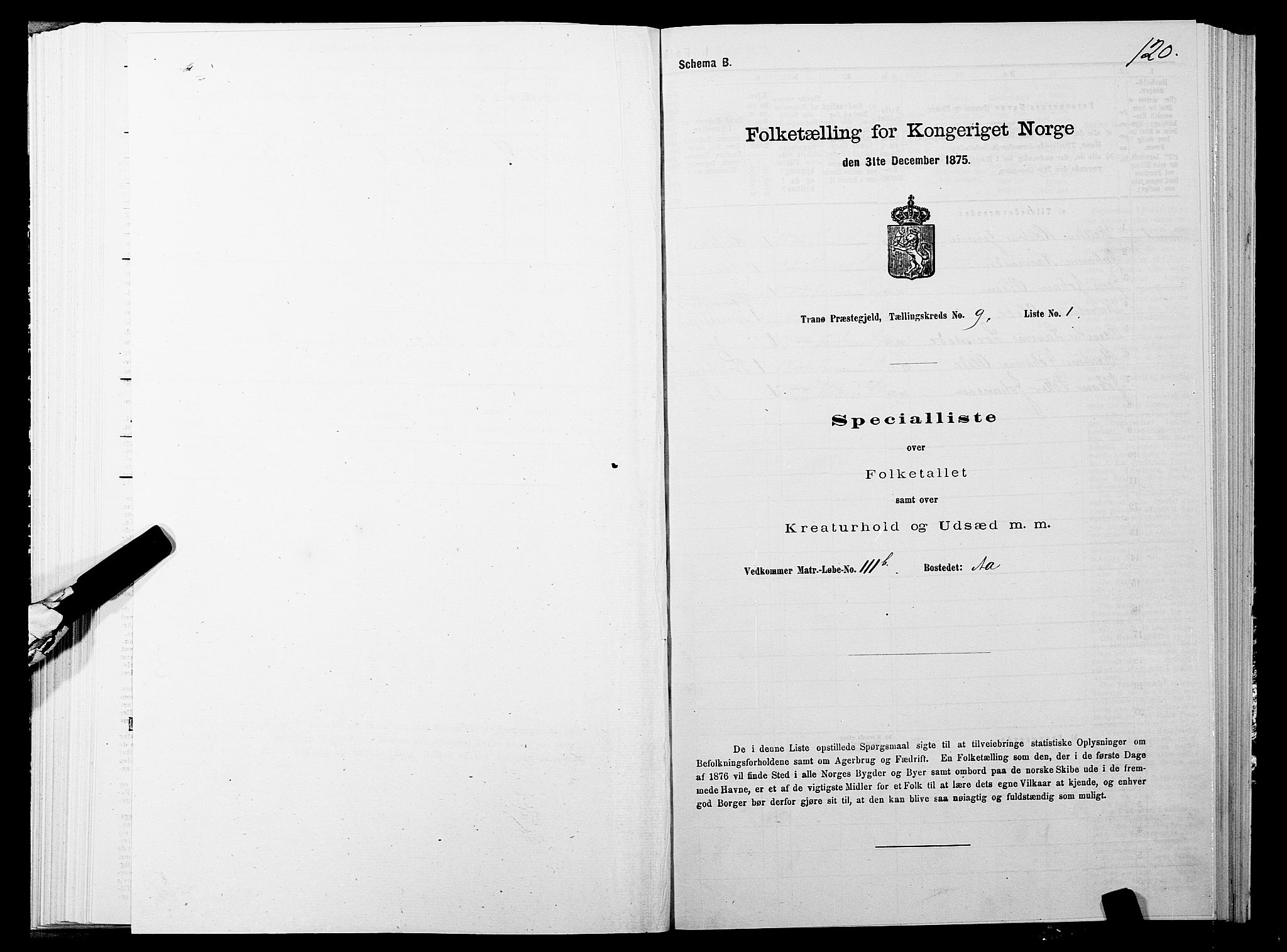 SATØ, 1875 census for 1927P Tranøy, 1875, p. 4120